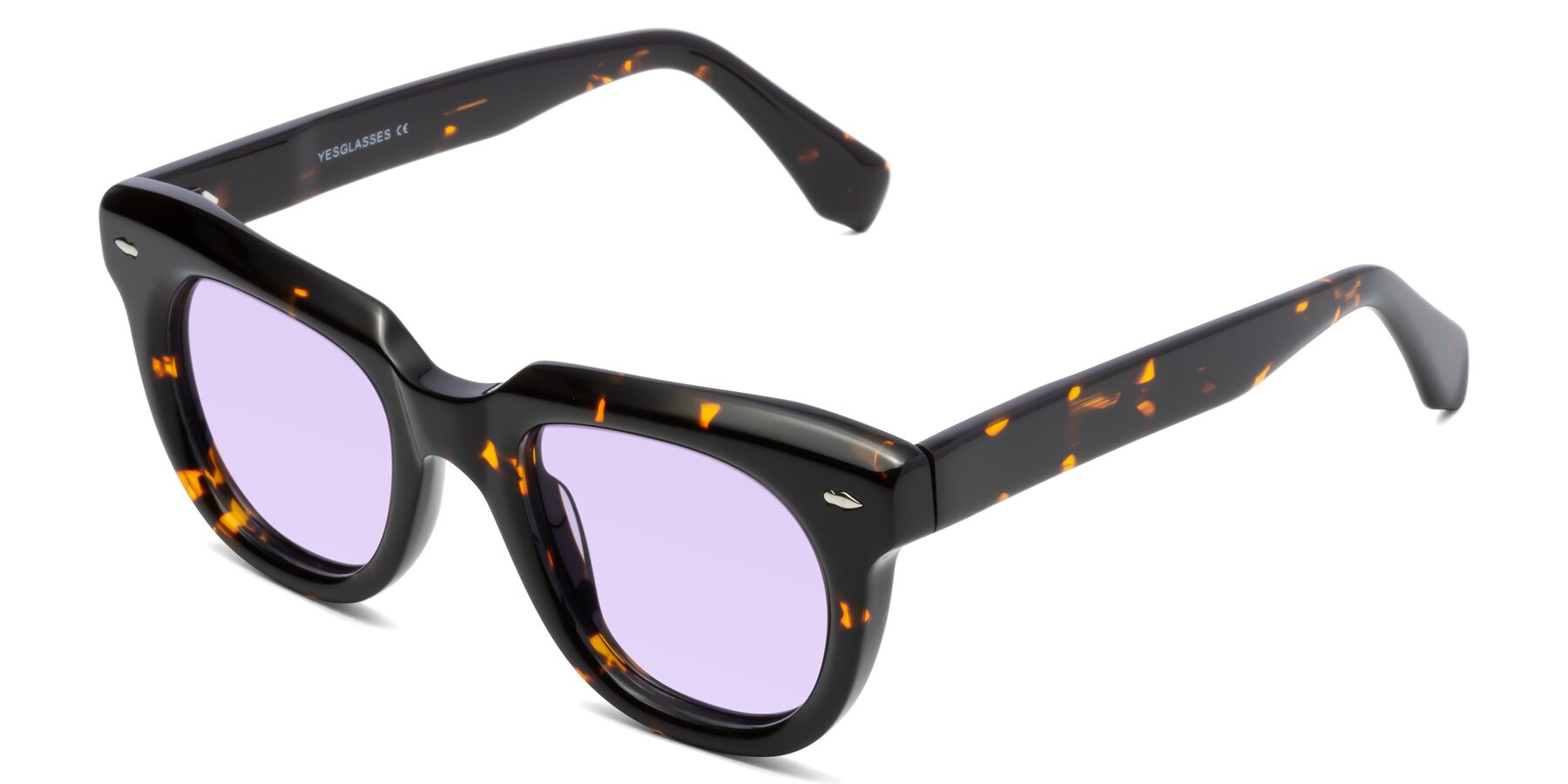Angle of Davis in Tortoise with Light Purple Tinted Lenses