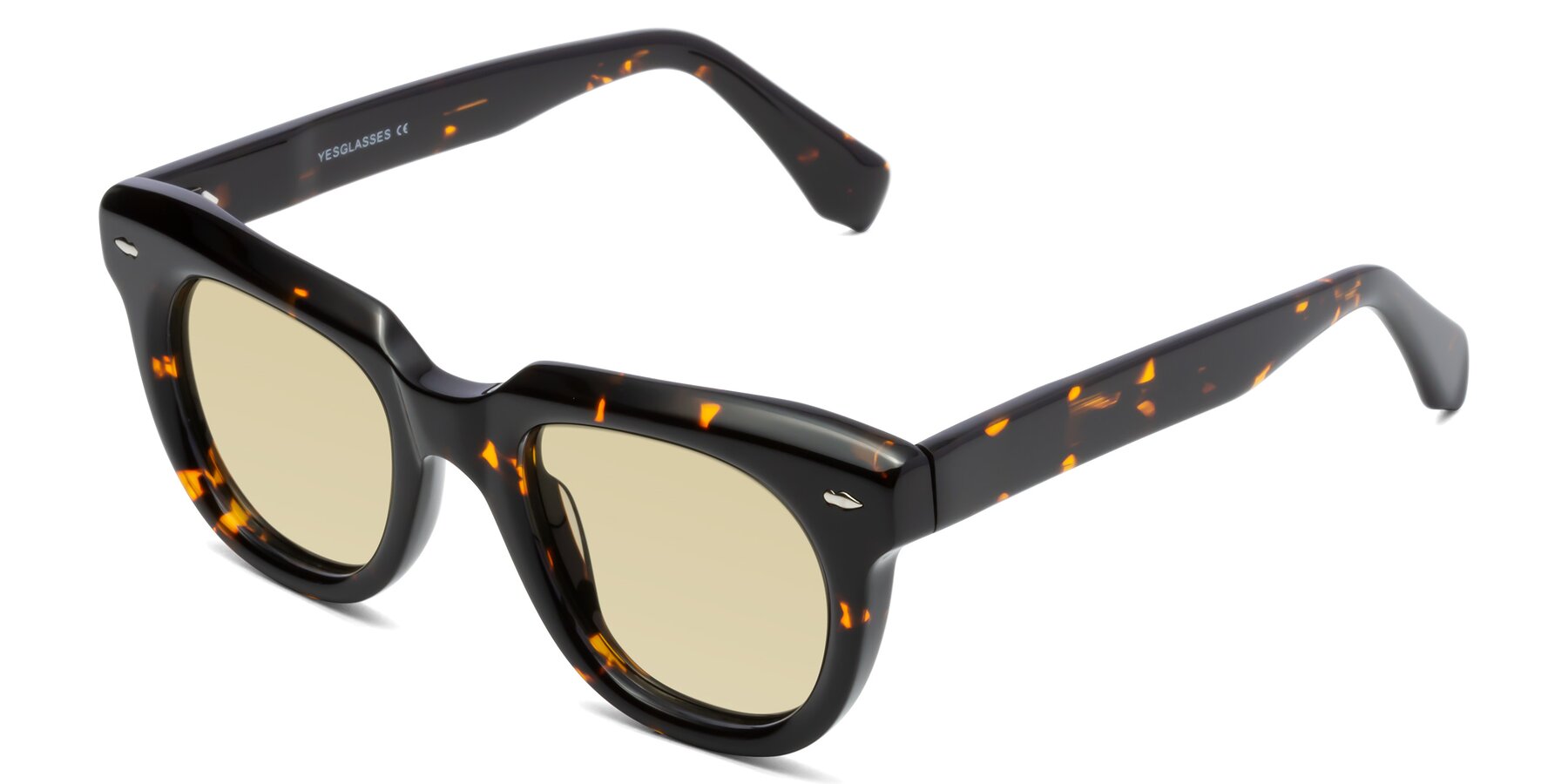 Angle of Davis in Tortoise with Light Champagne Tinted Lenses