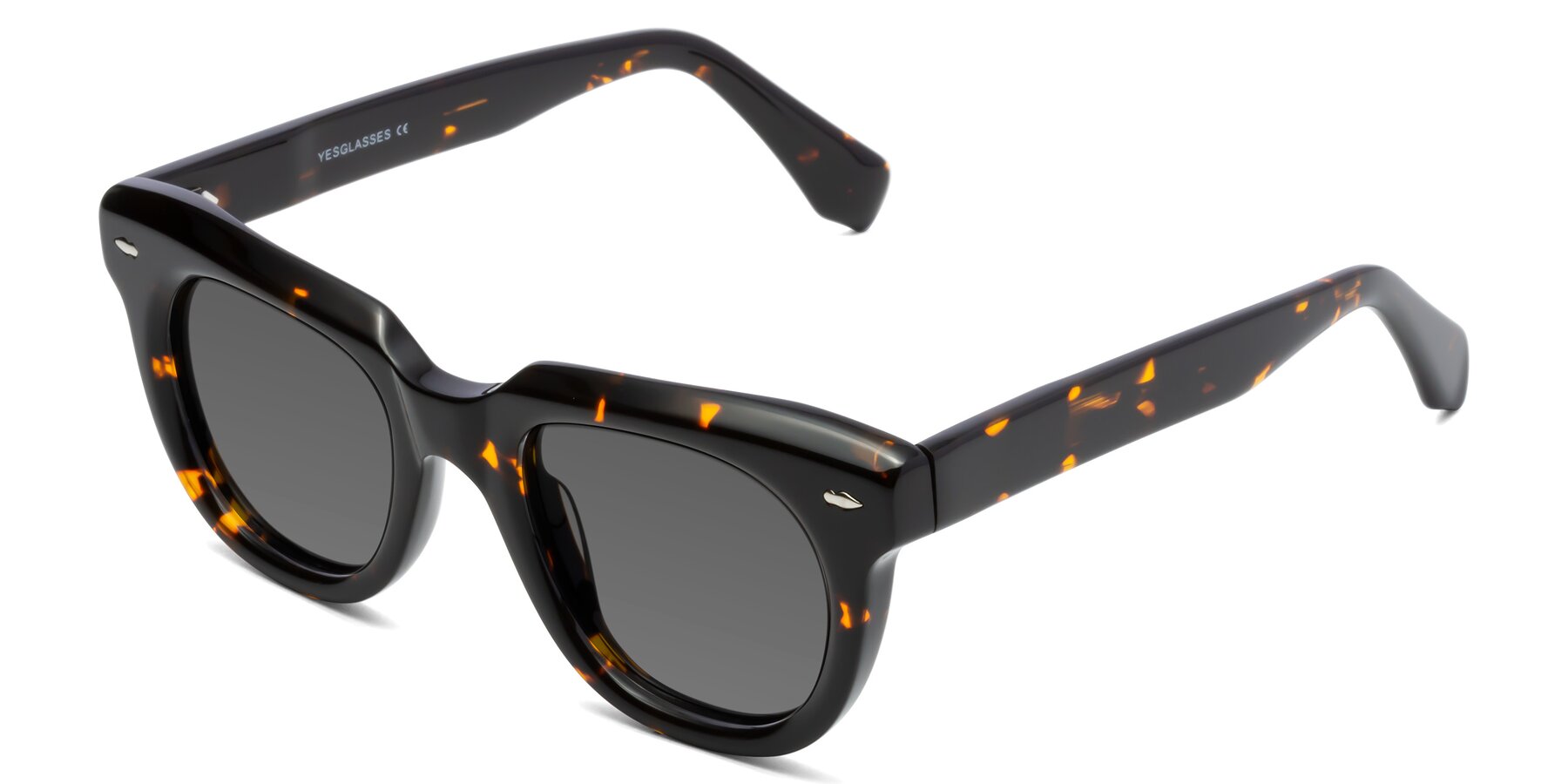 Angle of Davis in Tortoise with Medium Gray Tinted Lenses