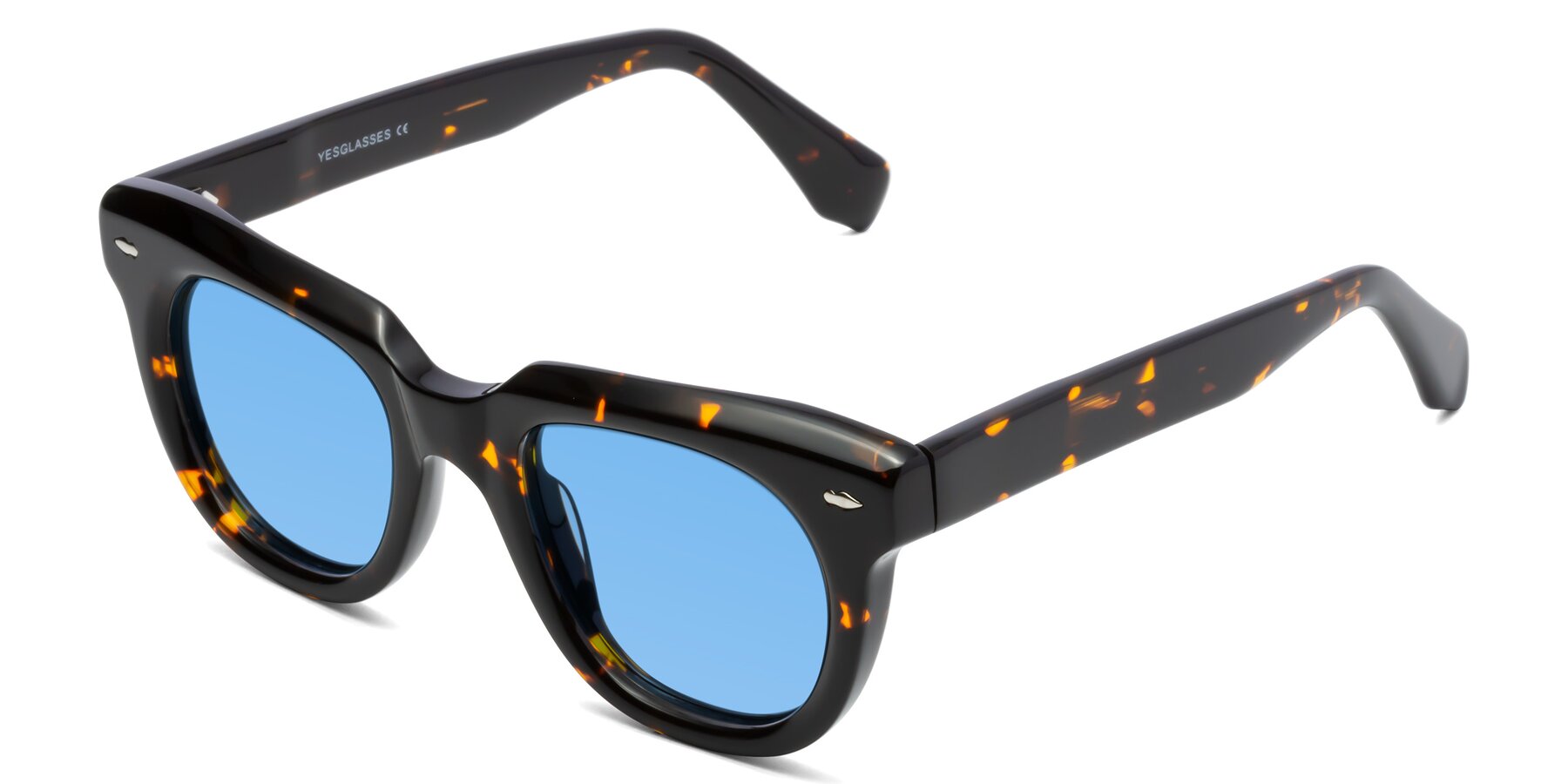 Angle of Davis in Tortoise with Medium Blue Tinted Lenses