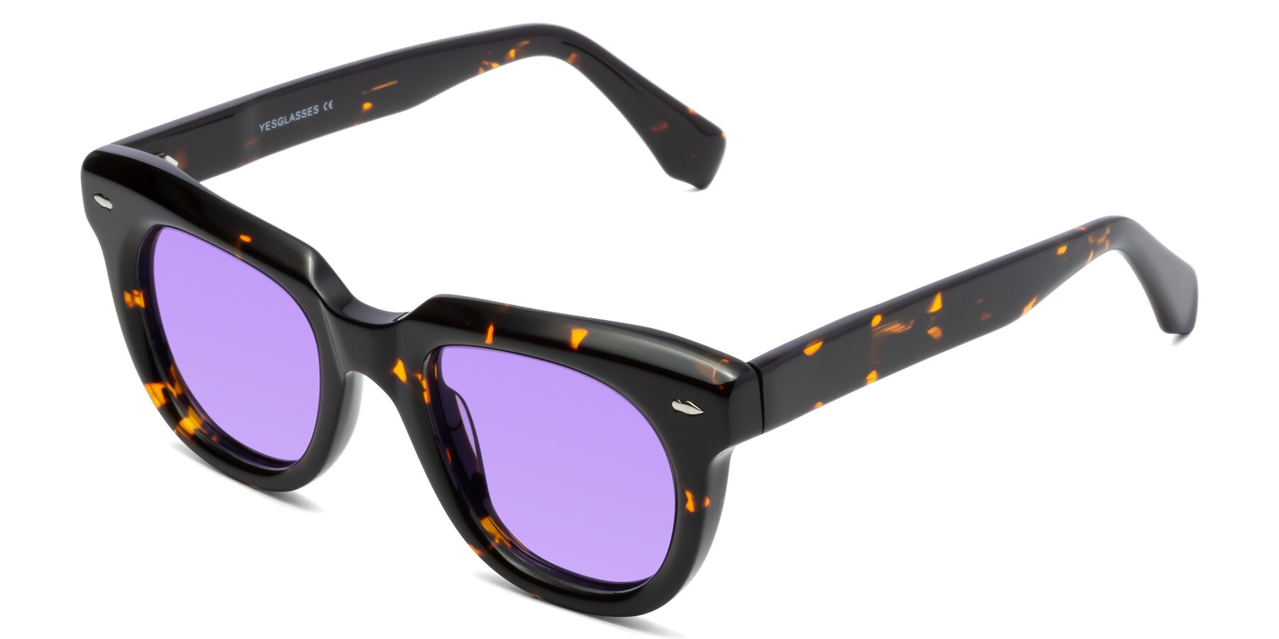 Angle of Davis in Tortoise with Medium Purple Tinted Lenses