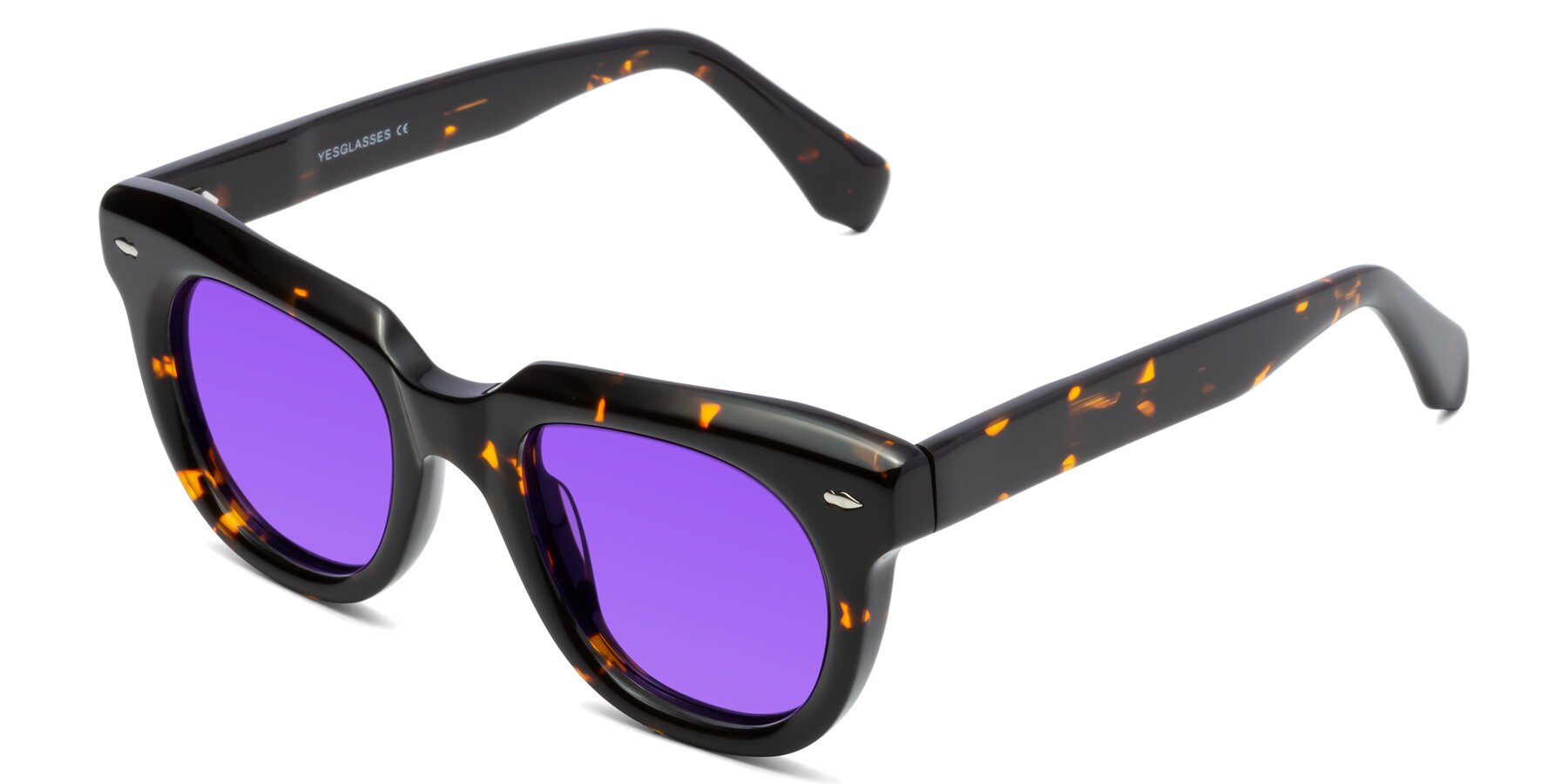 Angle of Davis in Tortoise with Purple Tinted Lenses