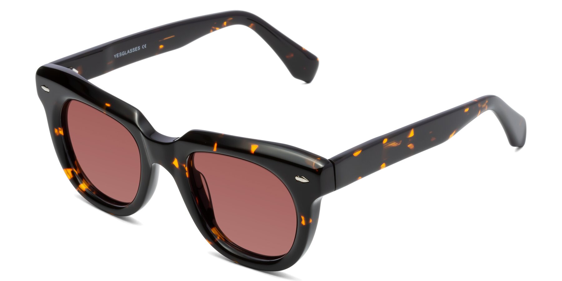 Angle of Davis in Tortoise with Garnet Tinted Lenses