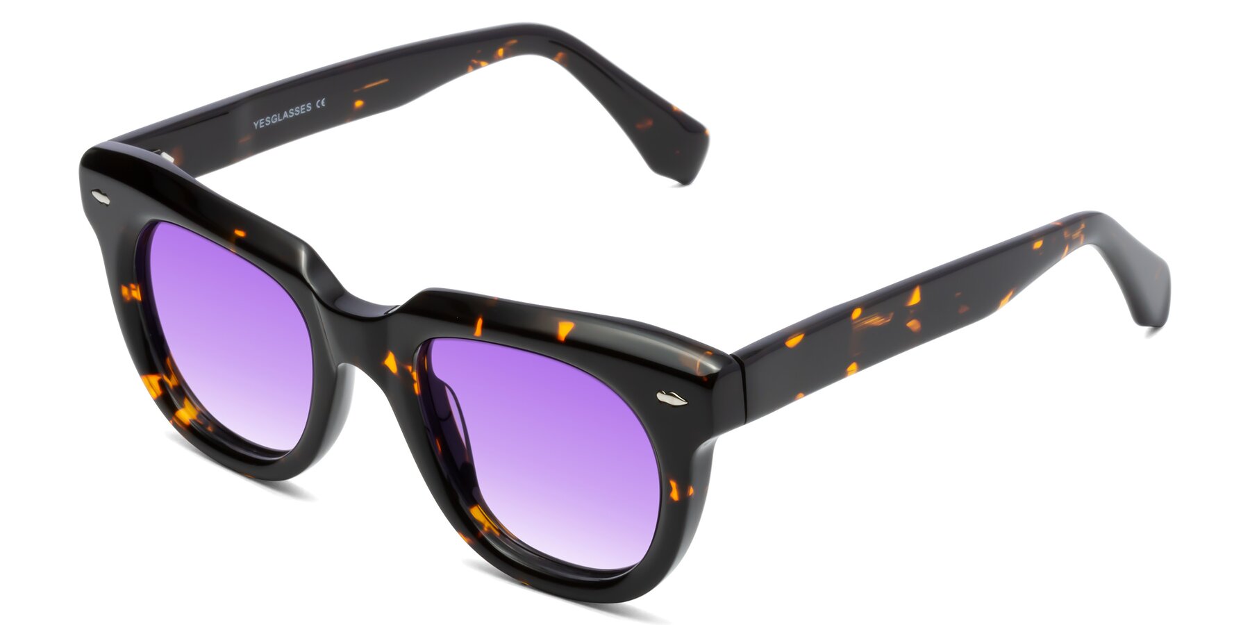 Angle of Davis in Tortoise with Purple Gradient Lenses