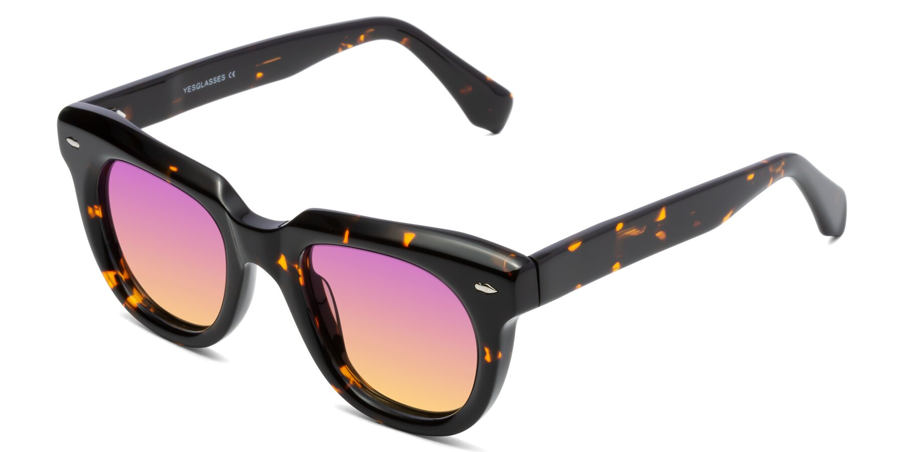 Angle of Davis in Tortoise with Purple / Yellow Gradient Lenses