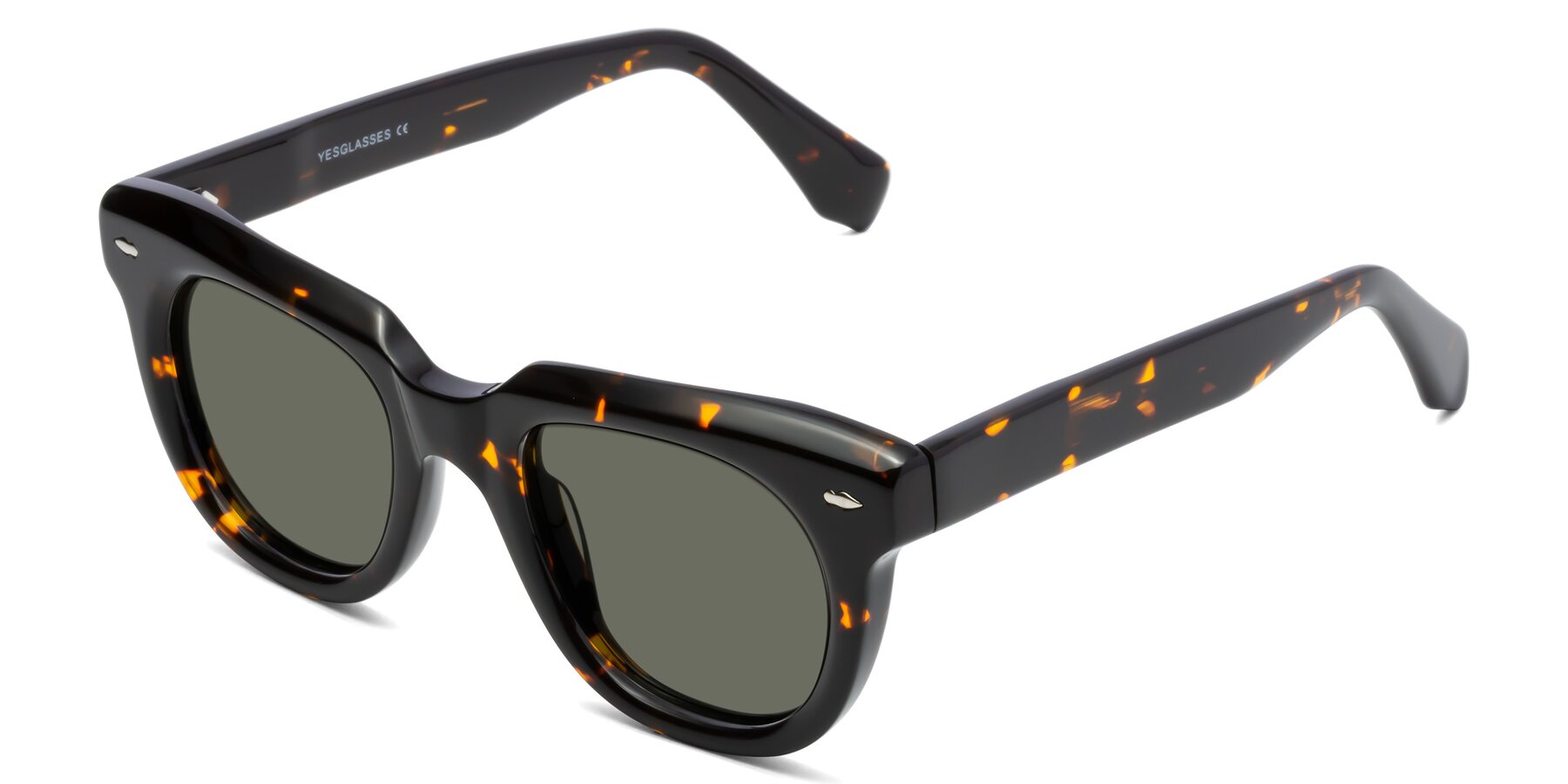 Angle of Davis in Tortoise with Gray Polarized Lenses