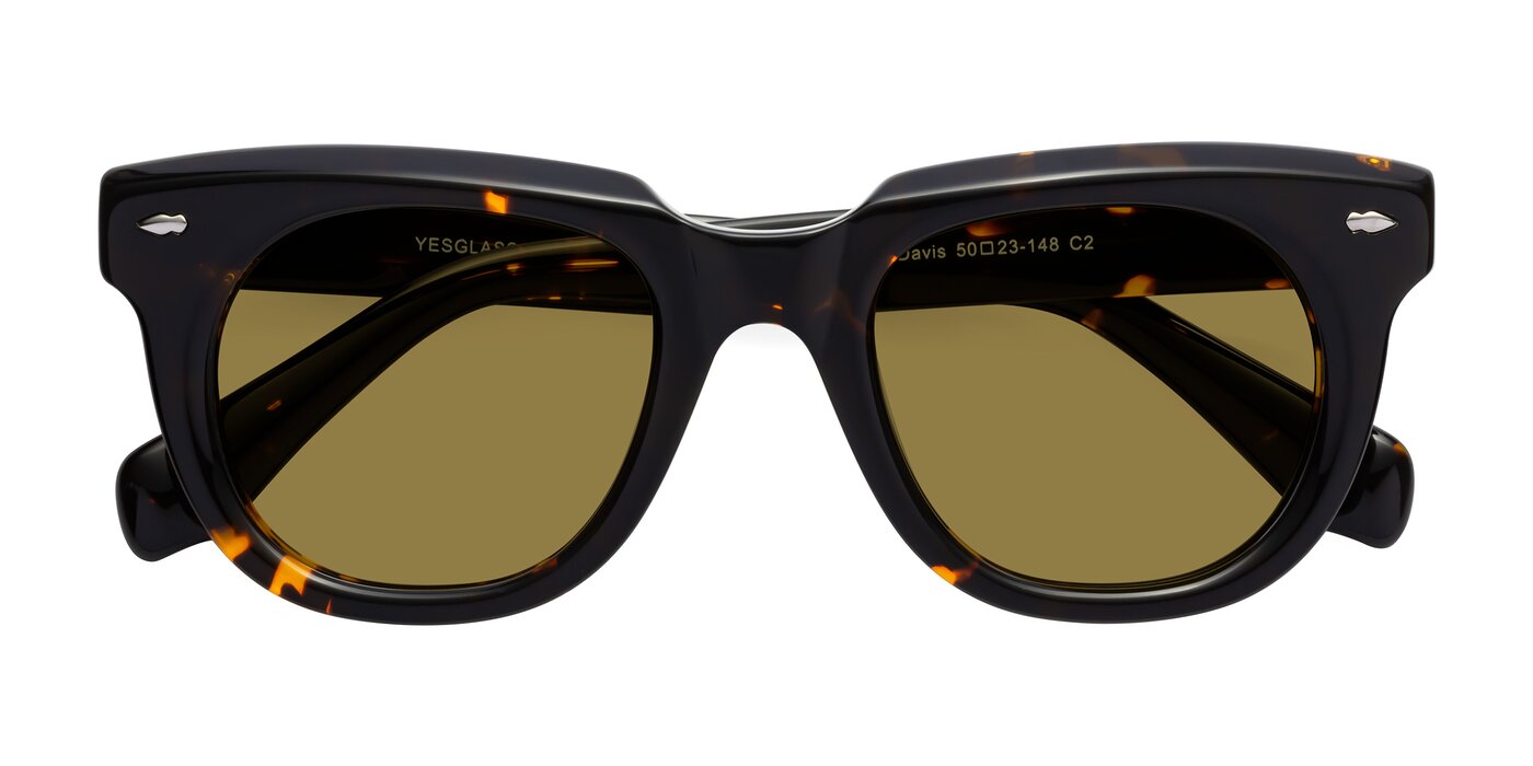 Davis - Tortoise Polarized Sunglasses