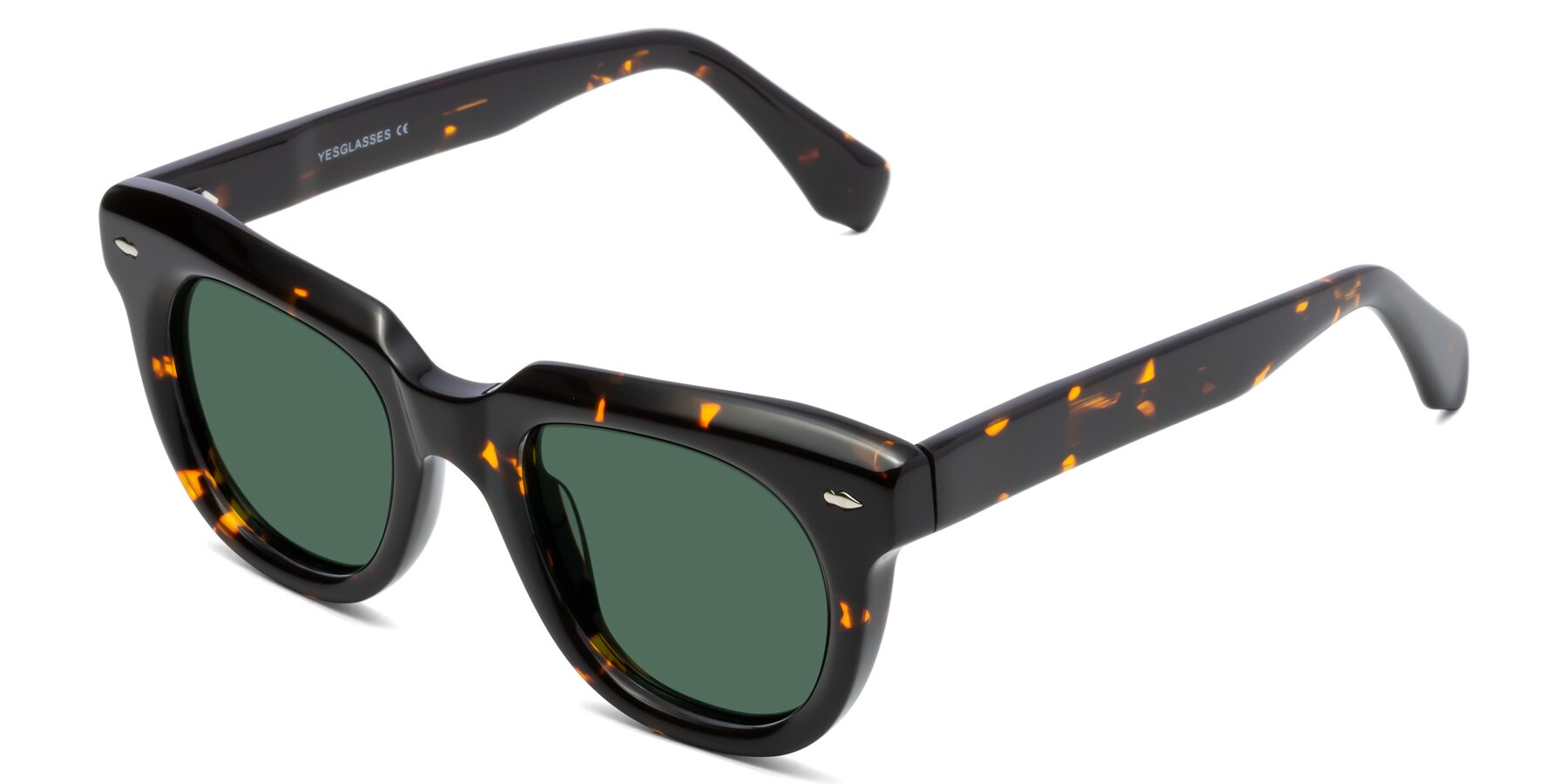 Angle of Davis in Tortoise with Green Polarized Lenses