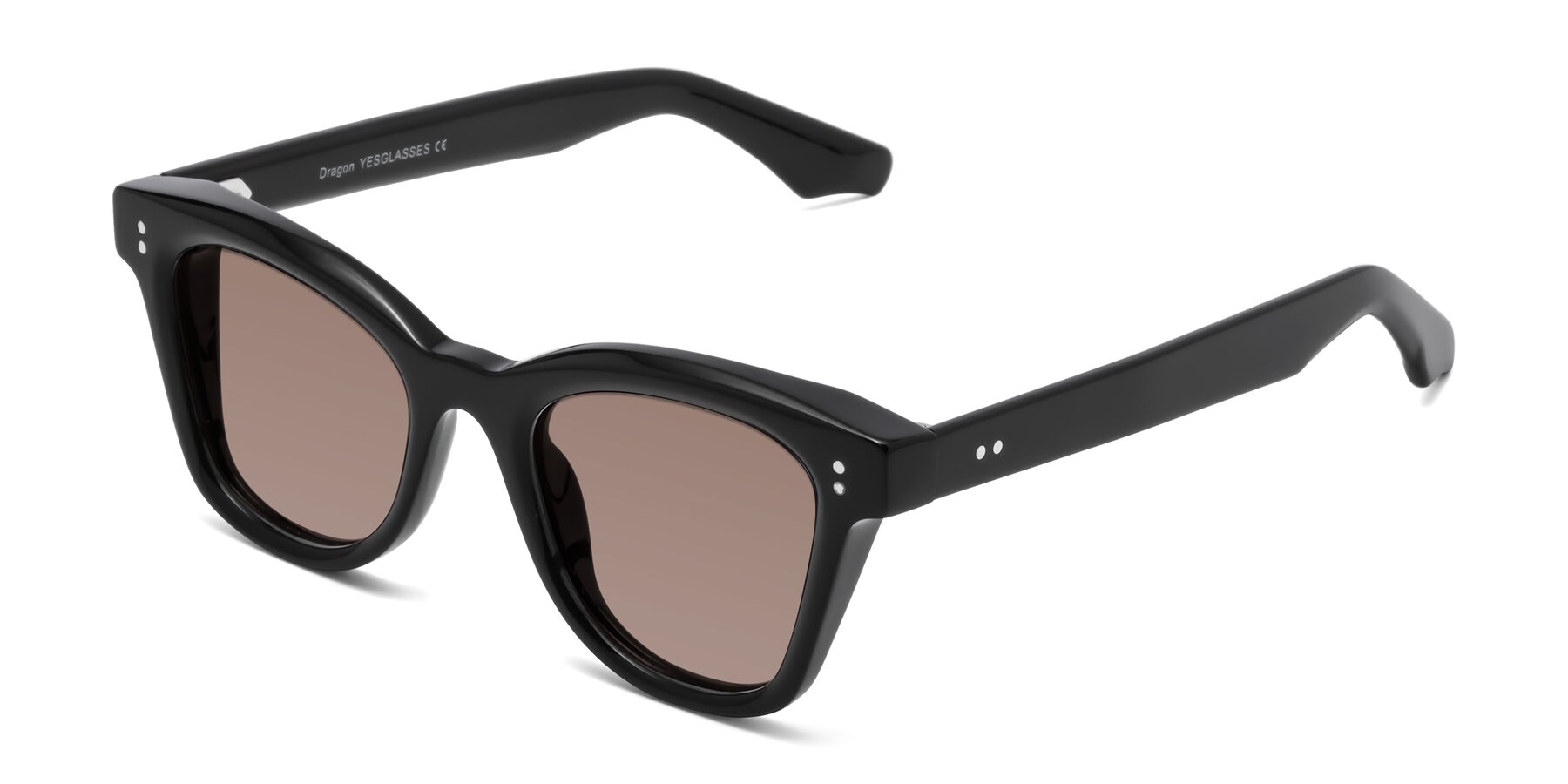 Angle of Dragon in Black with Medium Brown Tinted Lenses