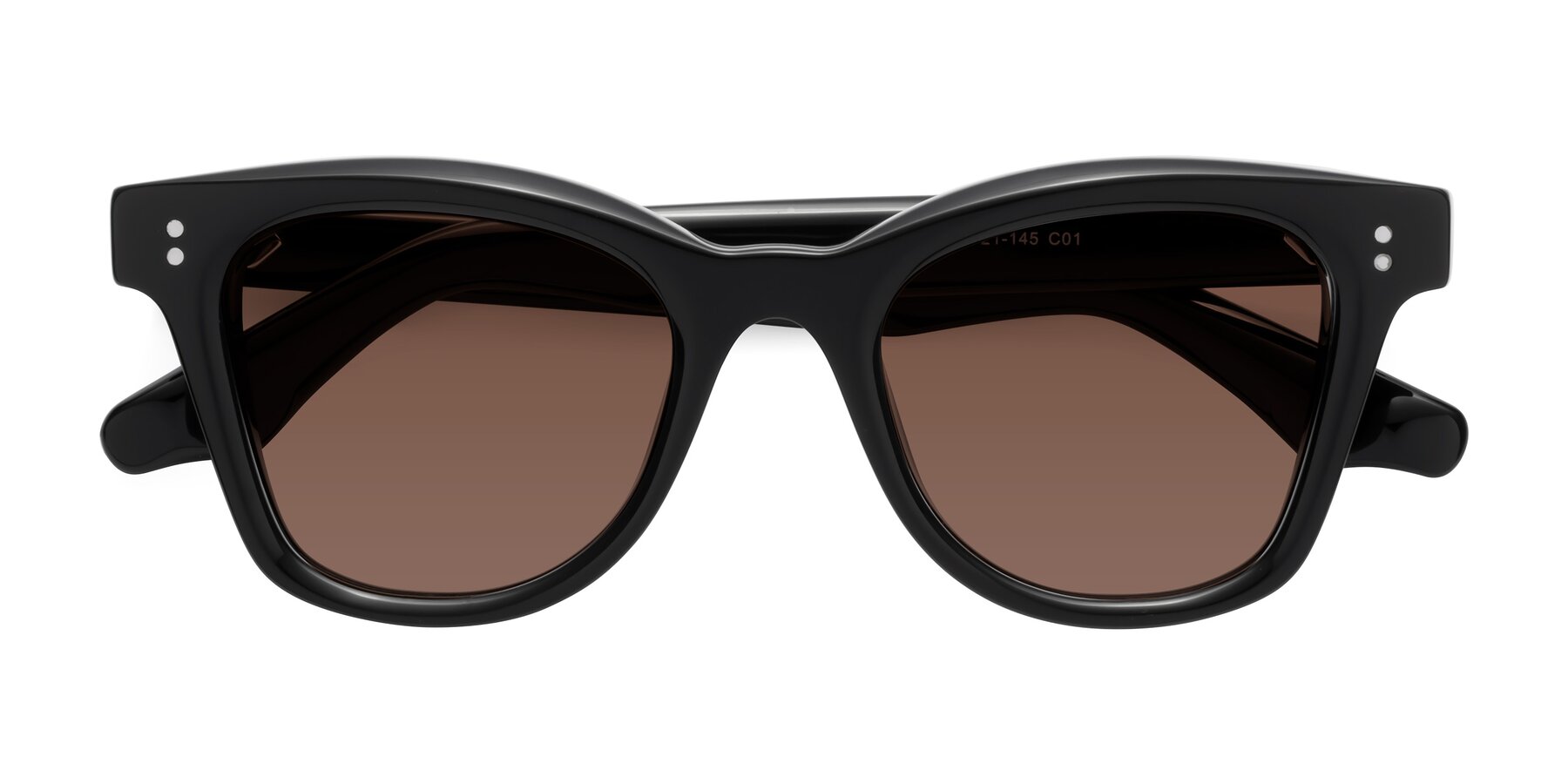 Folded Front of Dragon in Black with Brown Tinted Lenses