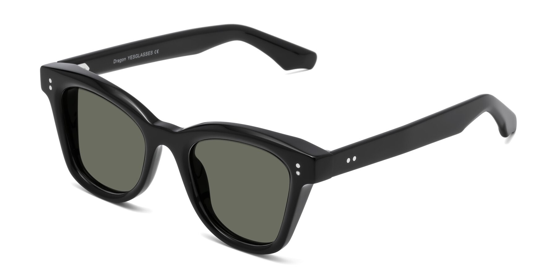 Angle of Dragon in Black with Gray Polarized Lenses