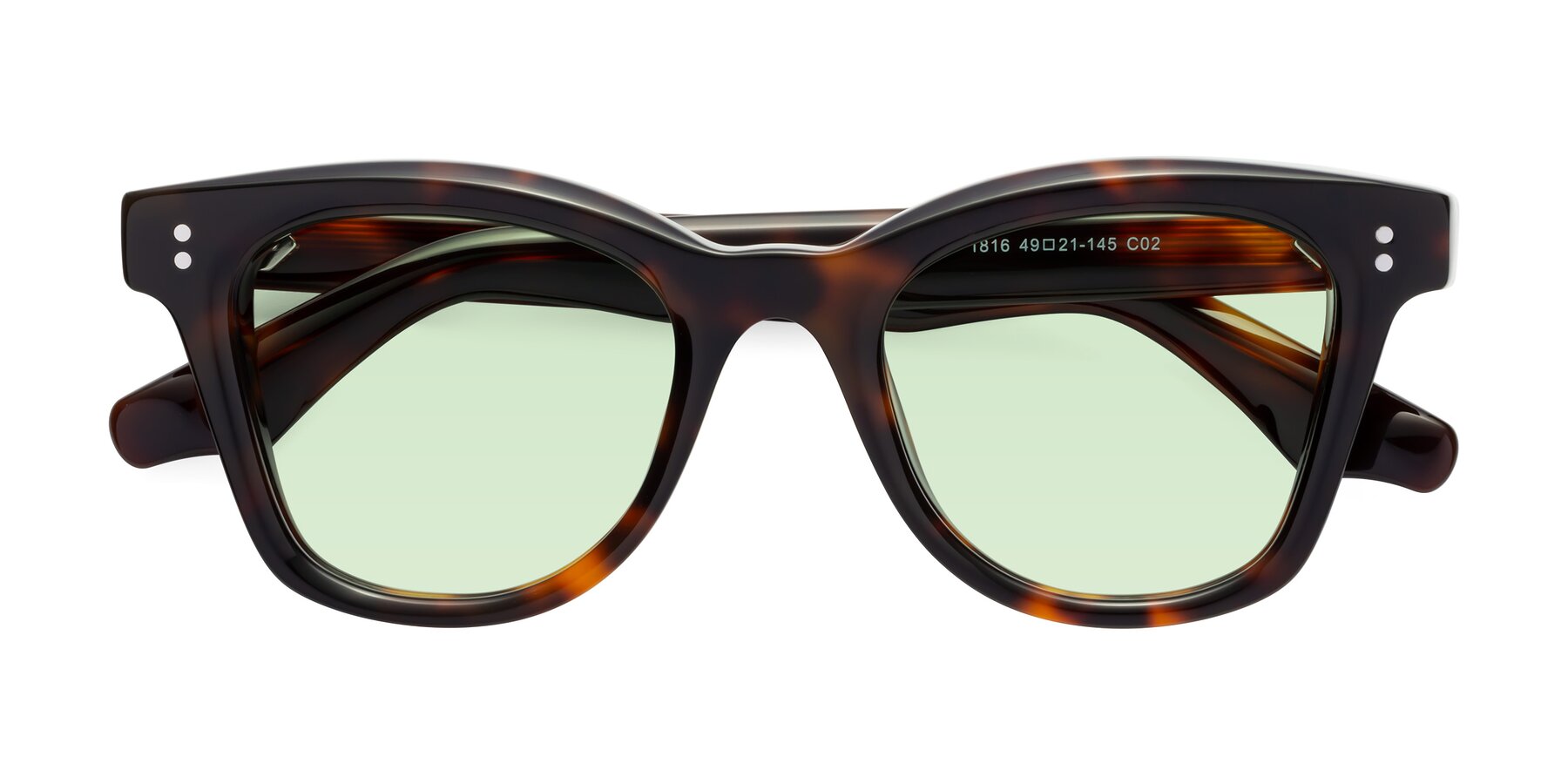 Folded Front of Dragon in Tortoise with Light Green Tinted Lenses