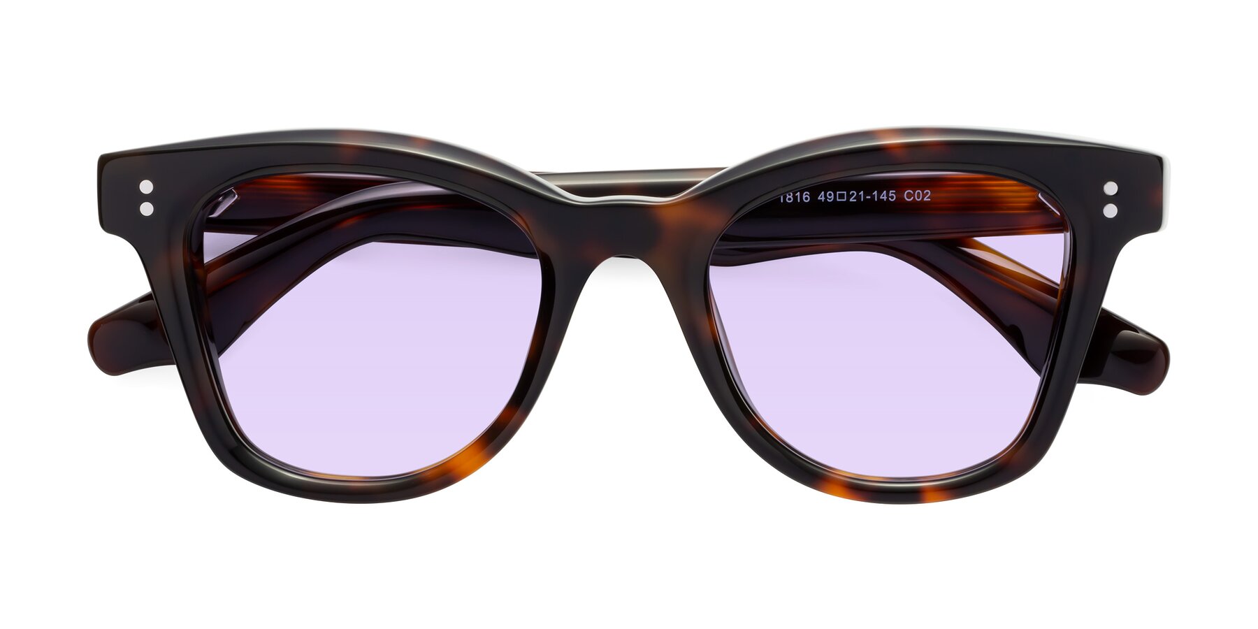 Folded Front of Dragon in Tortoise with Light Purple Tinted Lenses
