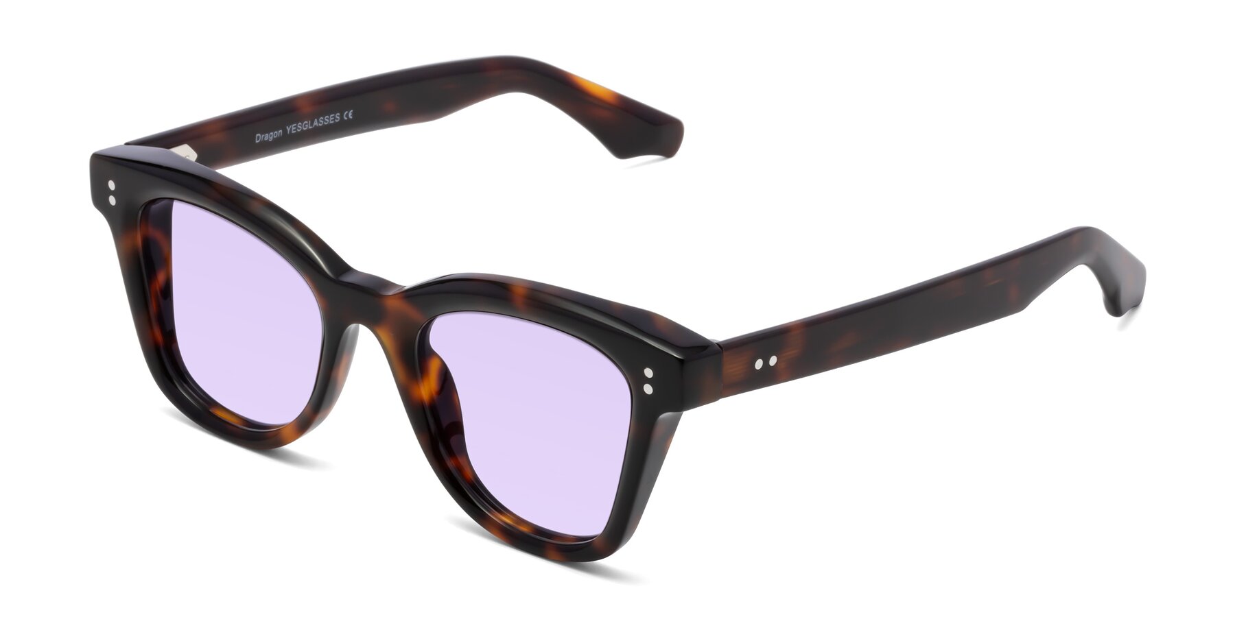 Angle of Dragon in Tortoise with Light Purple Tinted Lenses
