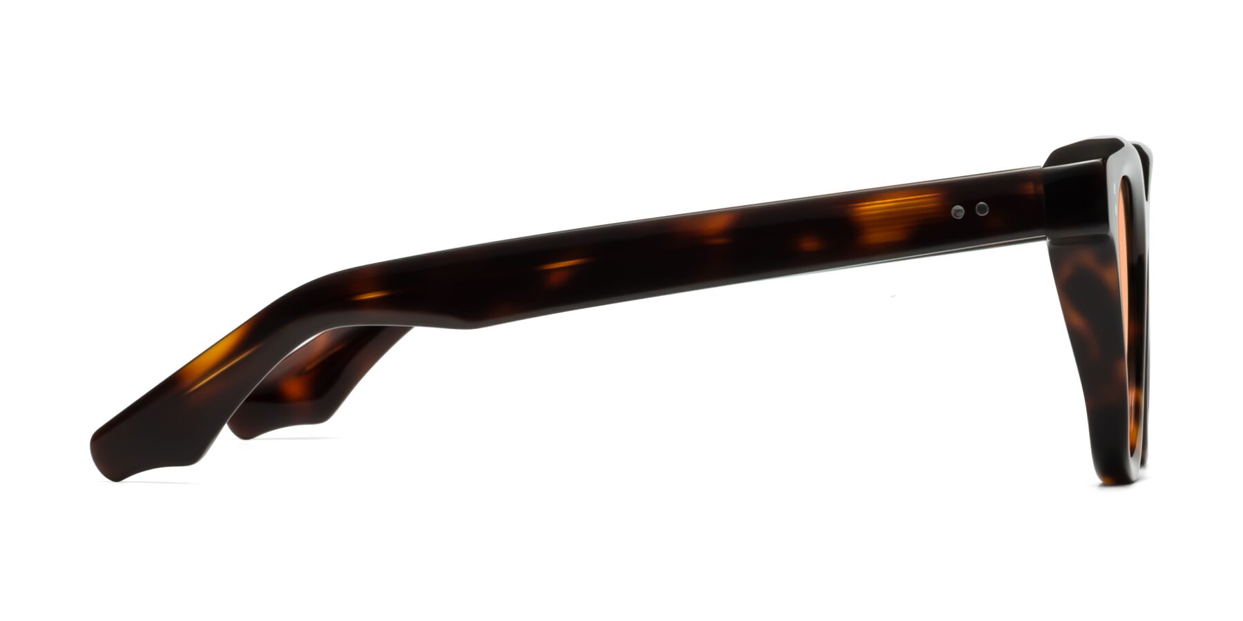 Side of Dragon in Tortoise with Light Orange Tinted Lenses