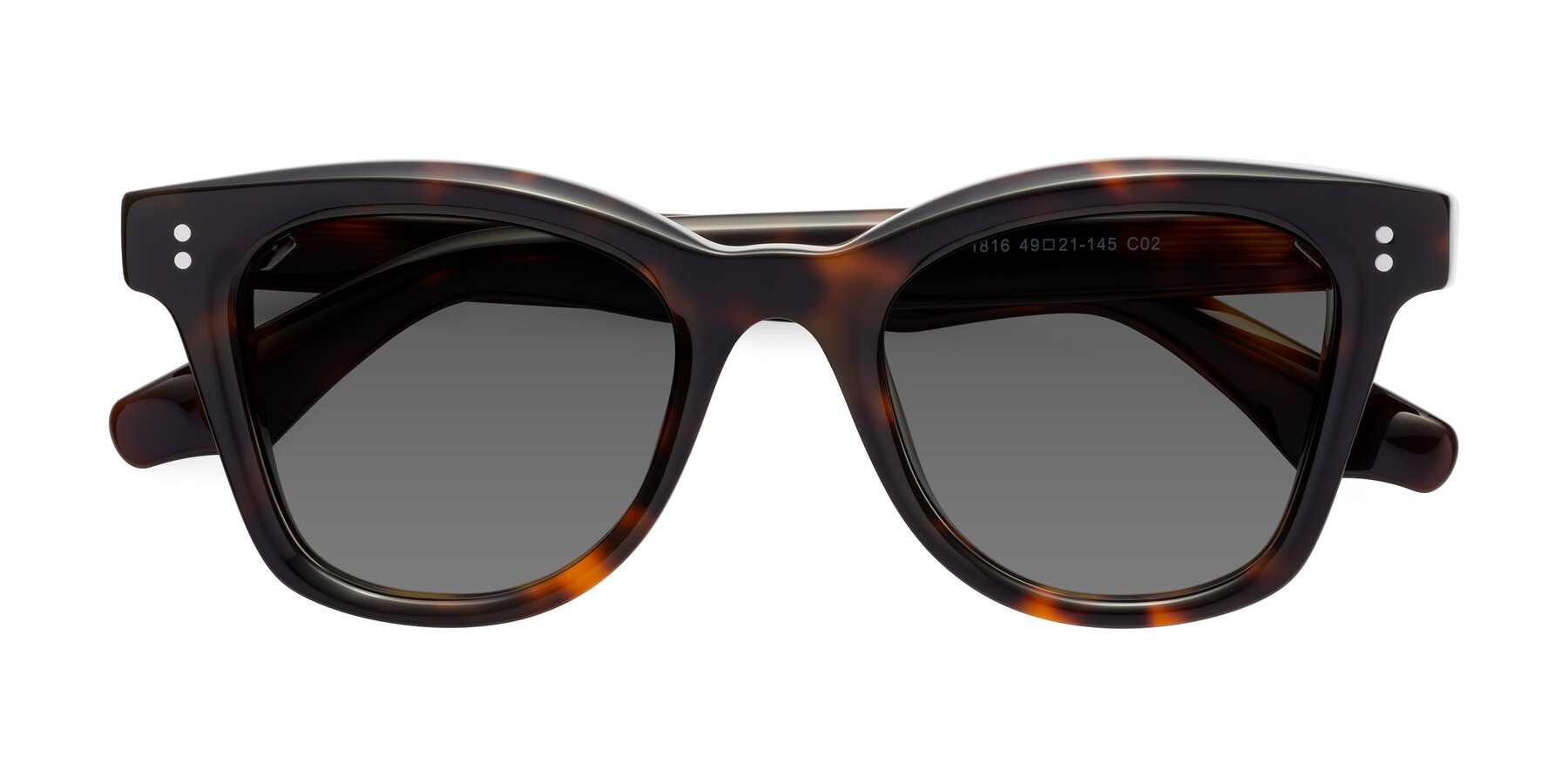 Folded Front of Dragon in Tortoise with Medium Gray Tinted Lenses