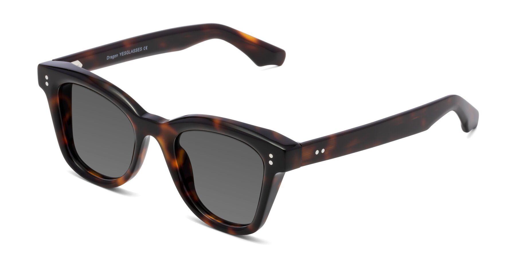Angle of Dragon in Tortoise with Medium Gray Tinted Lenses