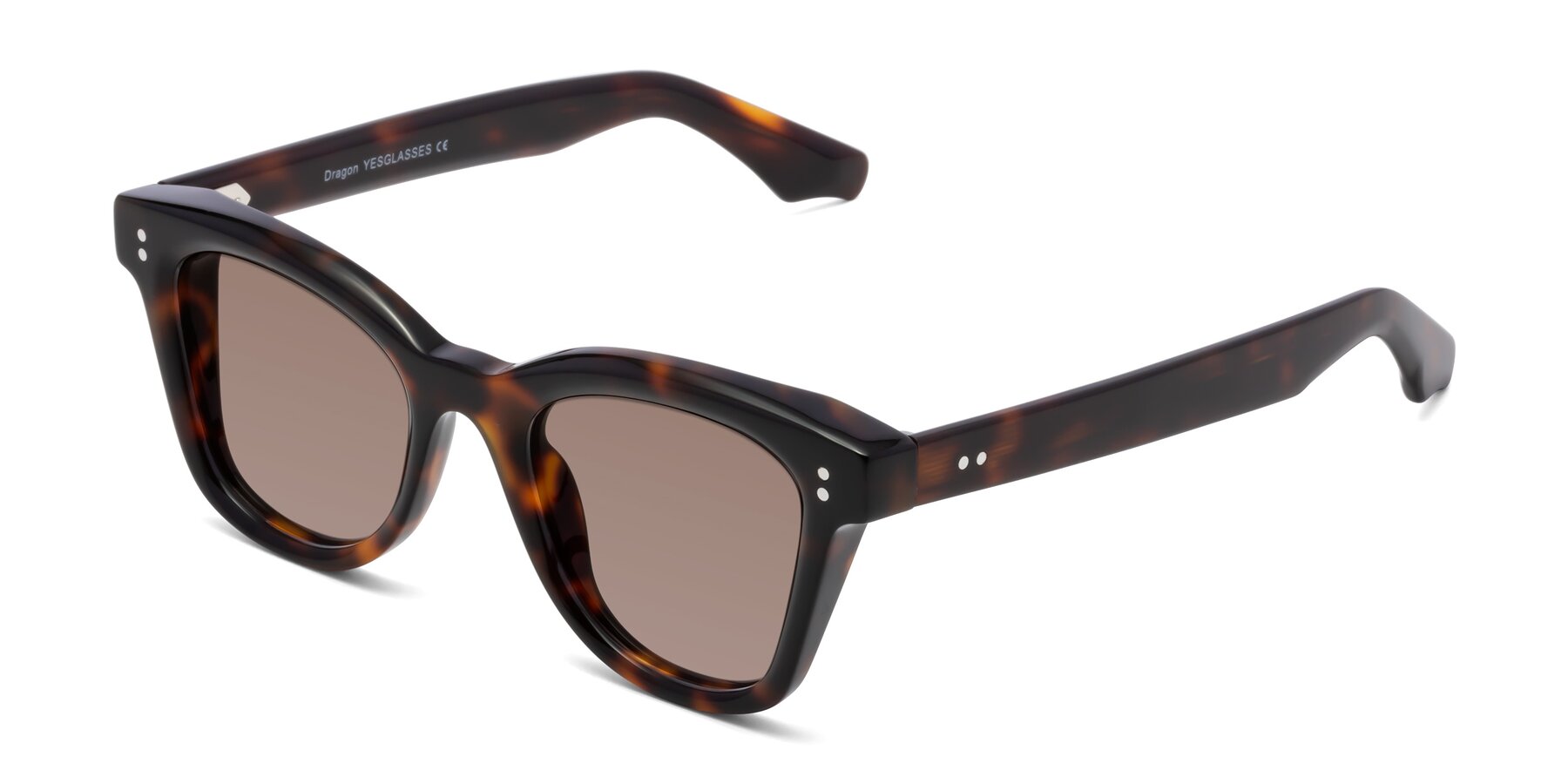 Angle of Dragon in Tortoise with Medium Brown Tinted Lenses