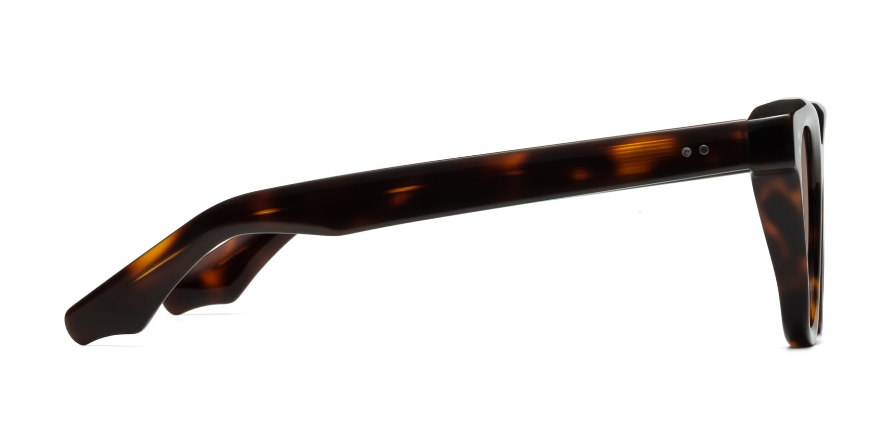 Side of Dragon in Tortoise with Medium Brown Tinted Lenses