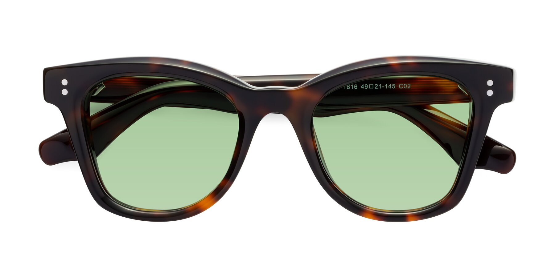 Folded Front of Dragon in Tortoise with Medium Green Tinted Lenses