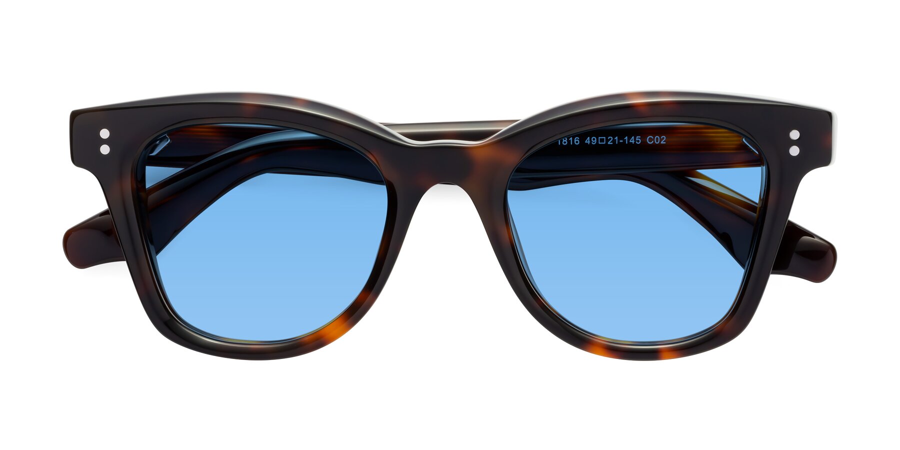 Folded Front of Dragon in Tortoise with Medium Blue Tinted Lenses