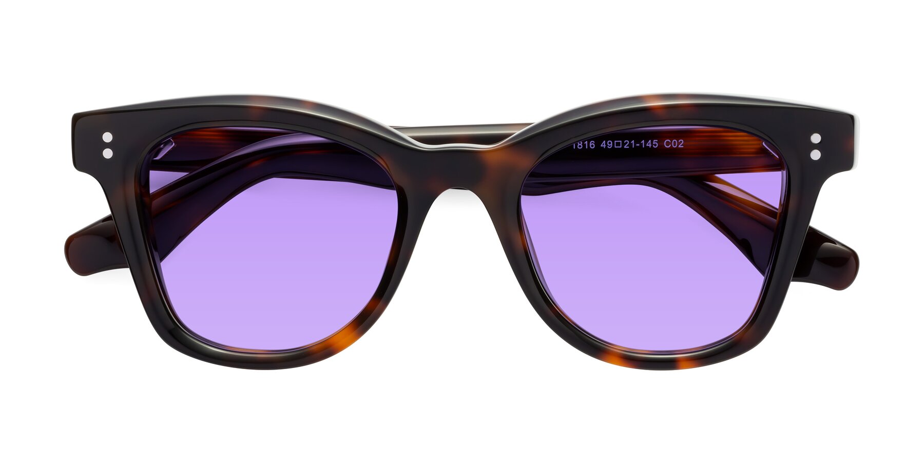 Folded Front of Dragon in Tortoise with Medium Purple Tinted Lenses