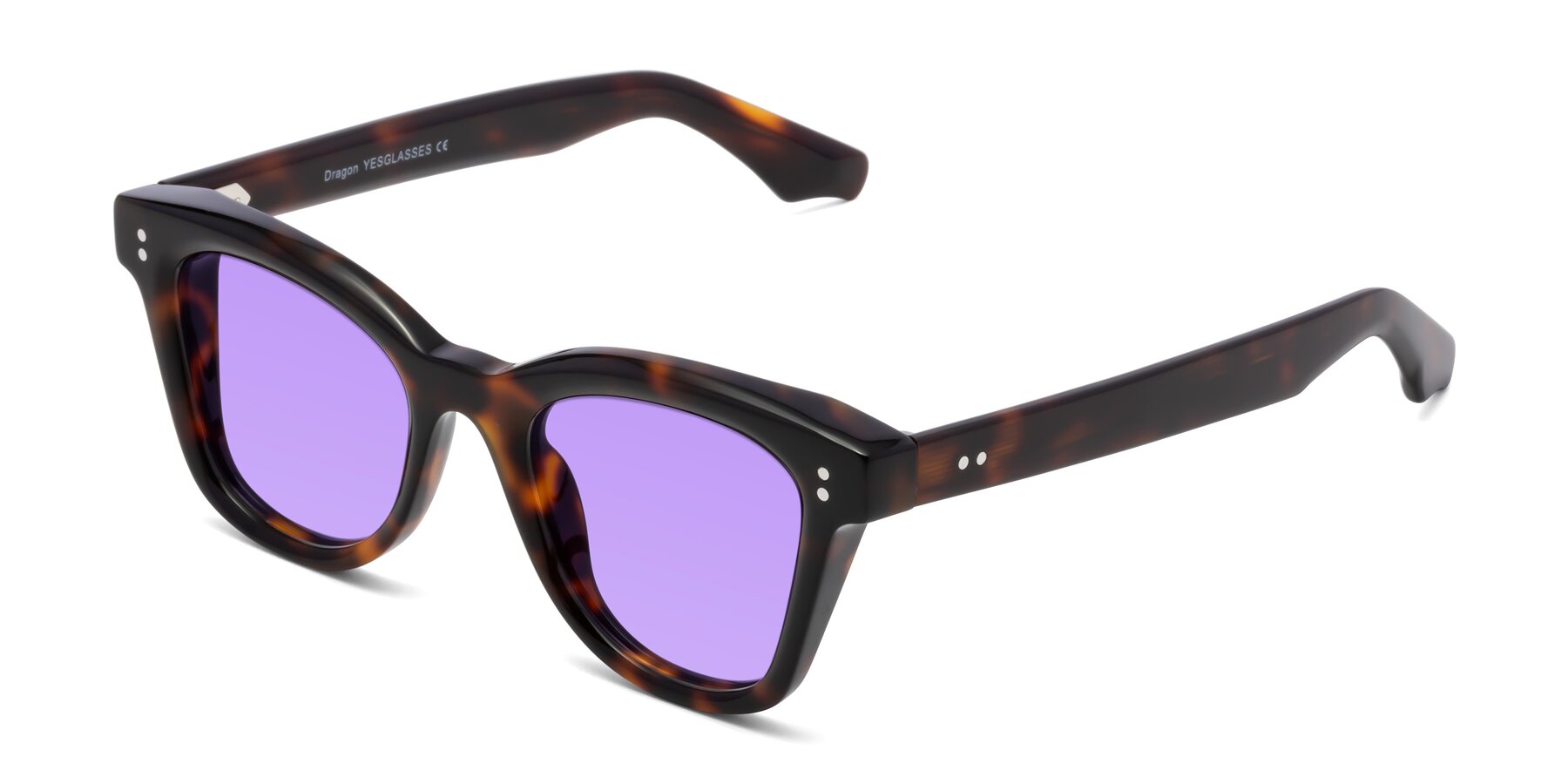 Angle of Dragon in Tortoise with Medium Purple Tinted Lenses