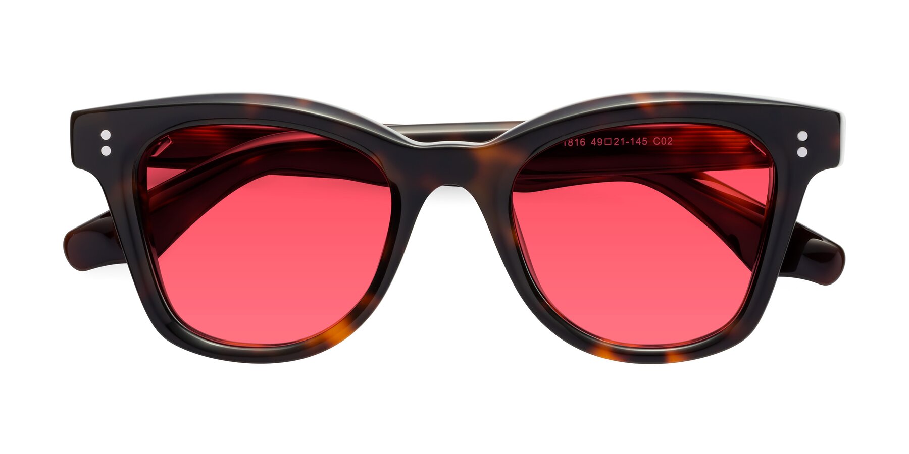 Folded Front of Dragon in Tortoise with Red Tinted Lenses