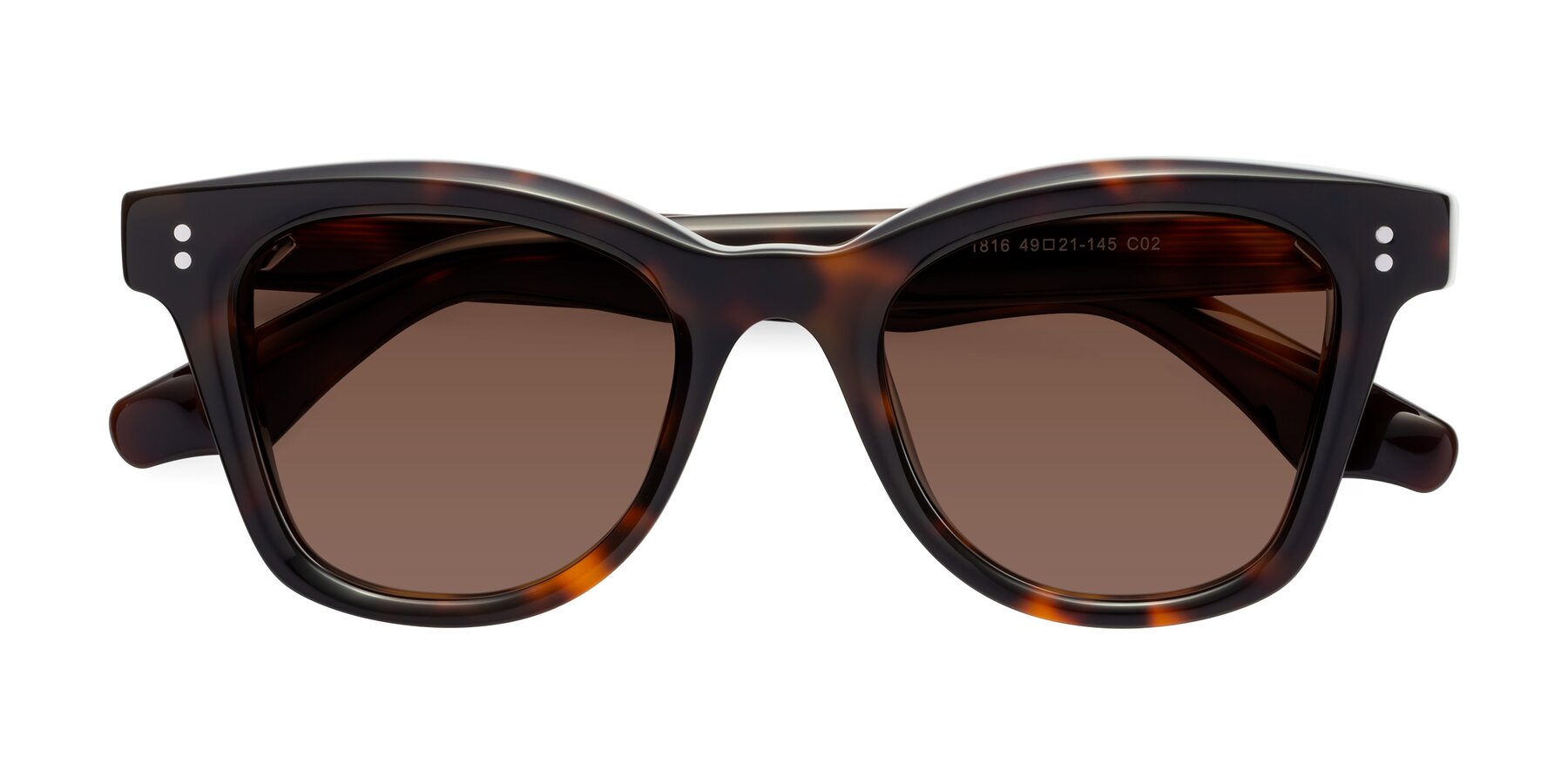 Folded Front of Dragon in Tortoise with Brown Tinted Lenses