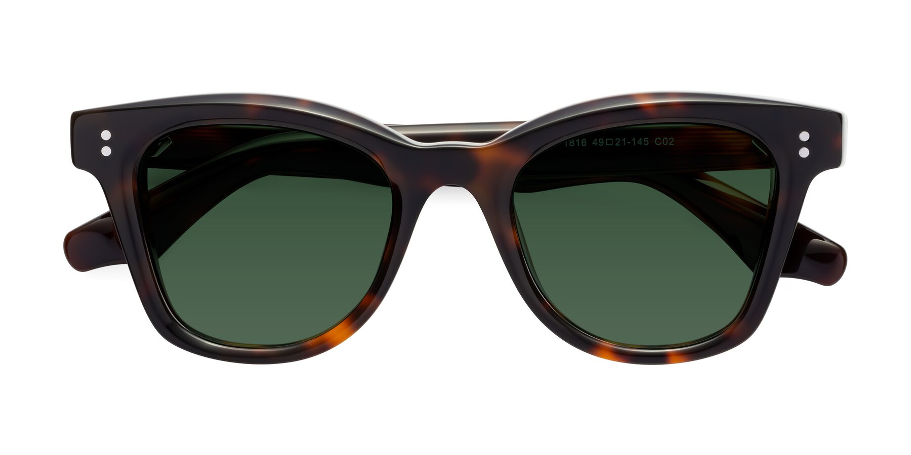 Folded Front of Dragon in Tortoise with Green Tinted Lenses