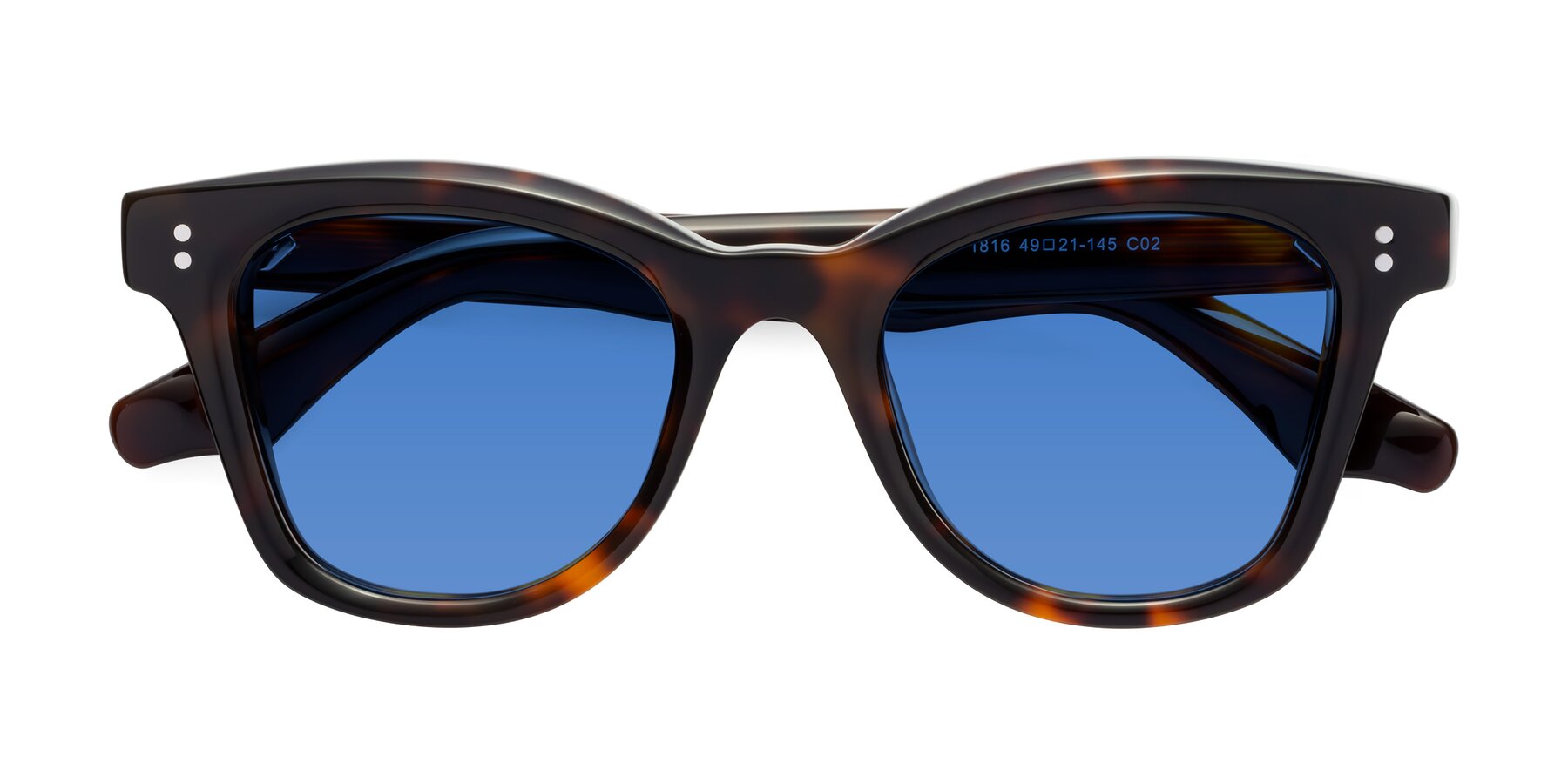 Folded Front of Dragon in Tortoise with Blue Tinted Lenses