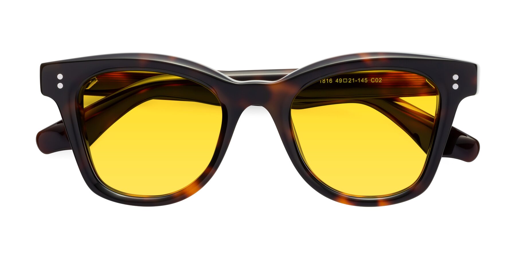 Folded Front of Dragon in Tortoise with Yellow Tinted Lenses