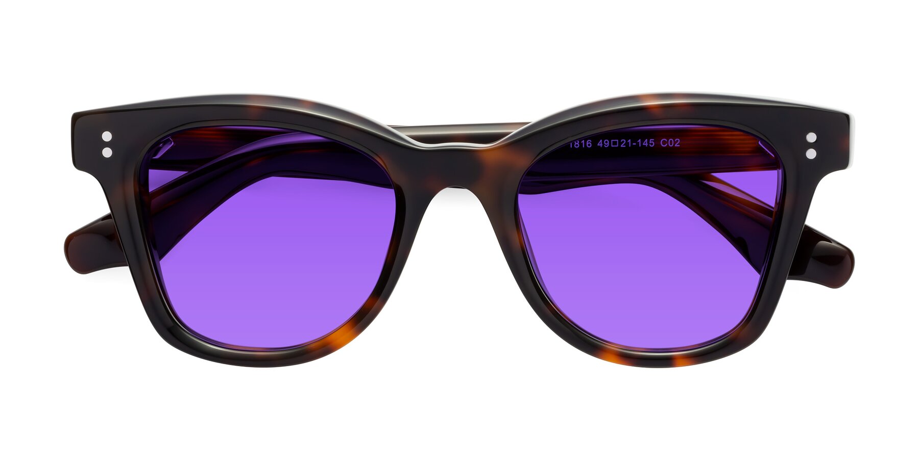 Folded Front of Dragon in Tortoise with Purple Tinted Lenses