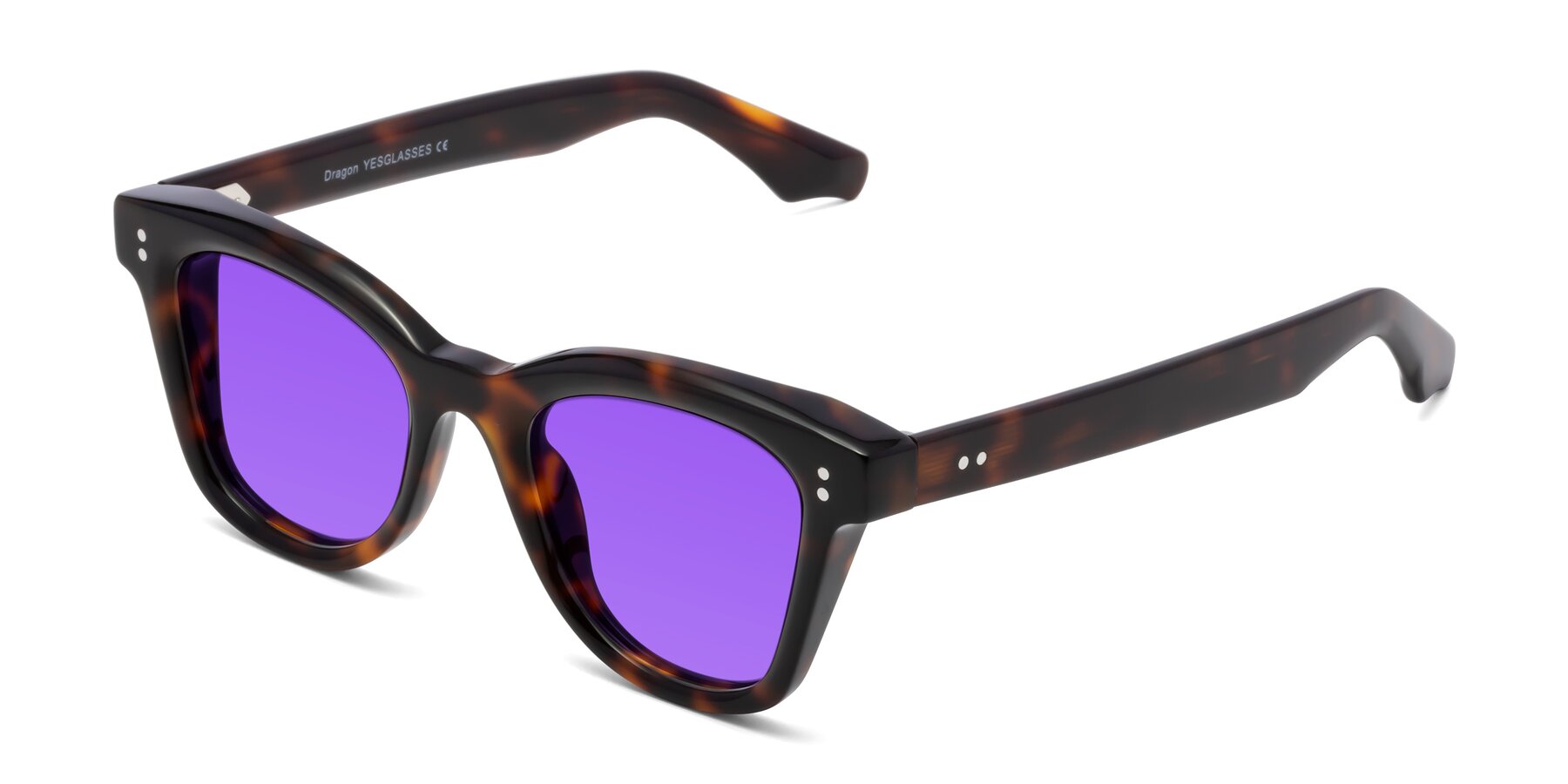 Angle of Dragon in Tortoise with Purple Tinted Lenses