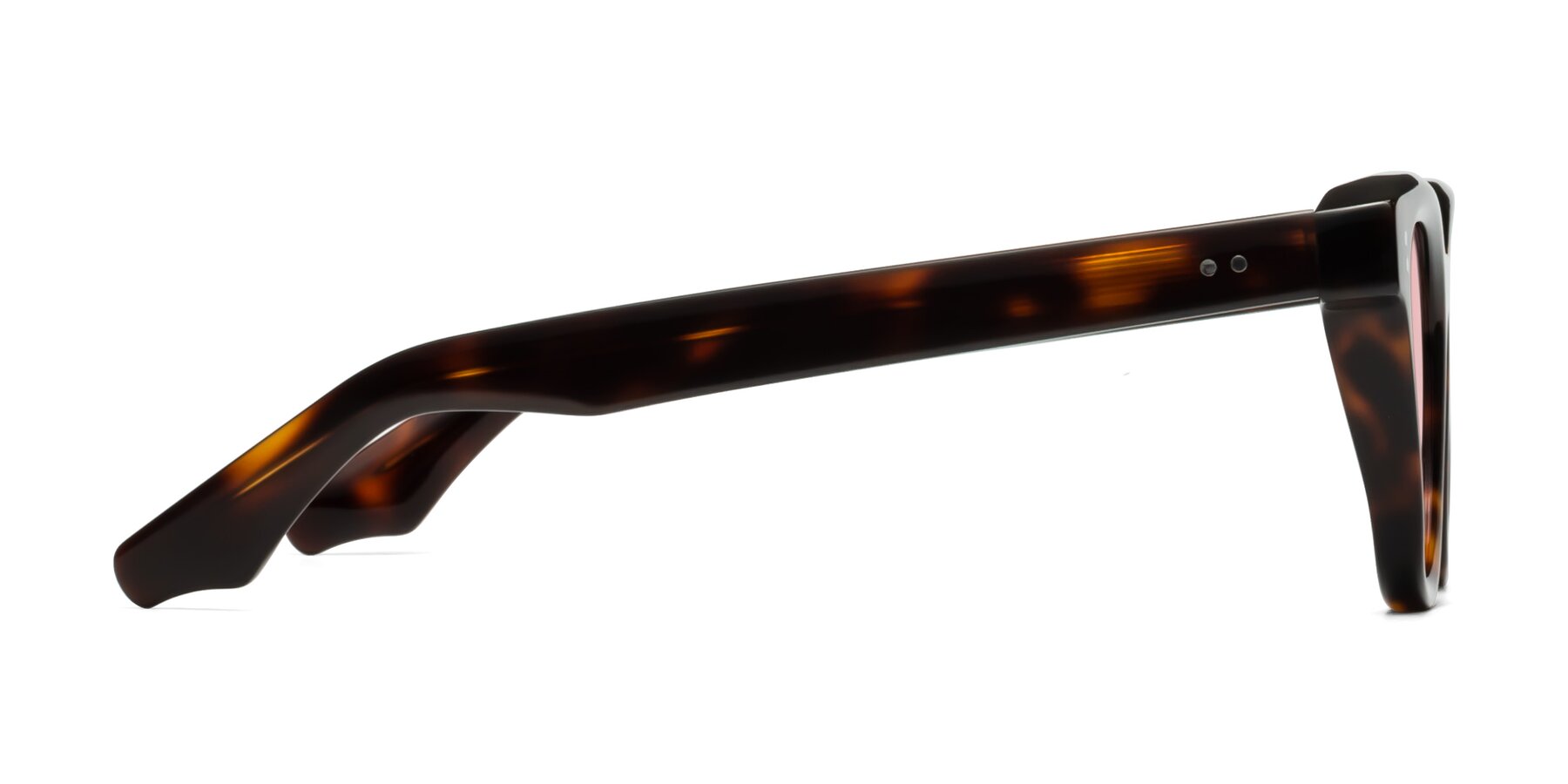 Side of Dragon in Tortoise with Light Garnet Tinted Lenses