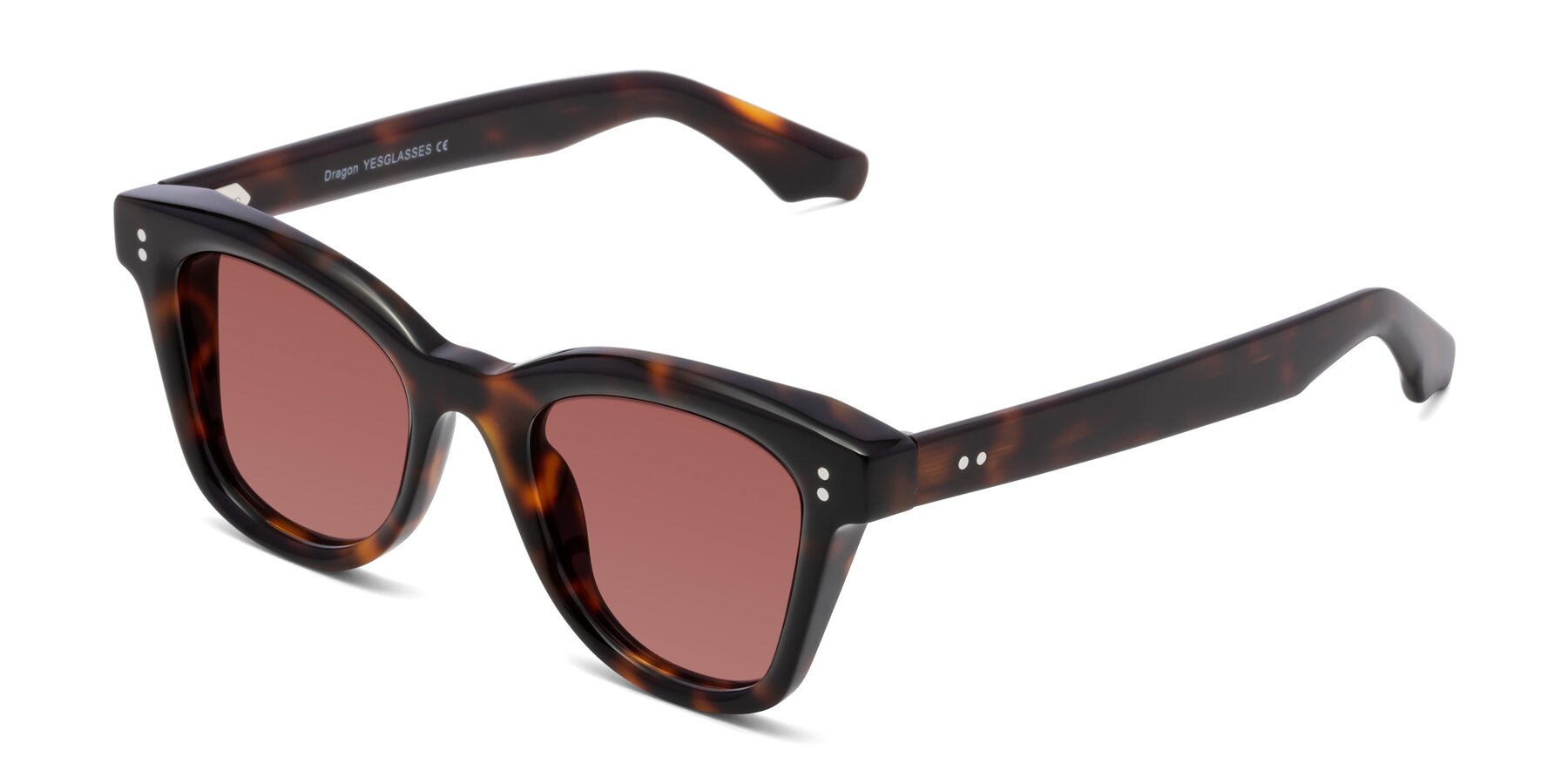 Angle of Dragon in Tortoise with Garnet Tinted Lenses