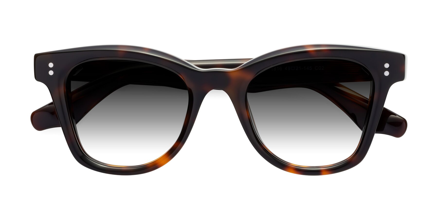Folded Front of Dragon in Tortoise with Gray Gradient Lenses