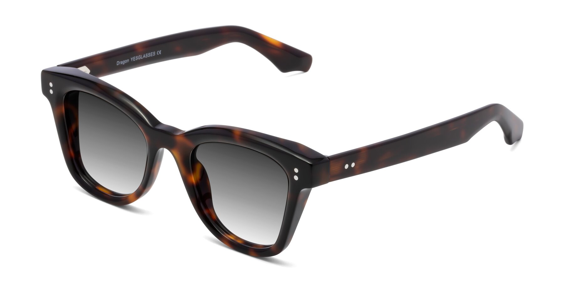 Angle of Dragon in Tortoise with Gray Gradient Lenses