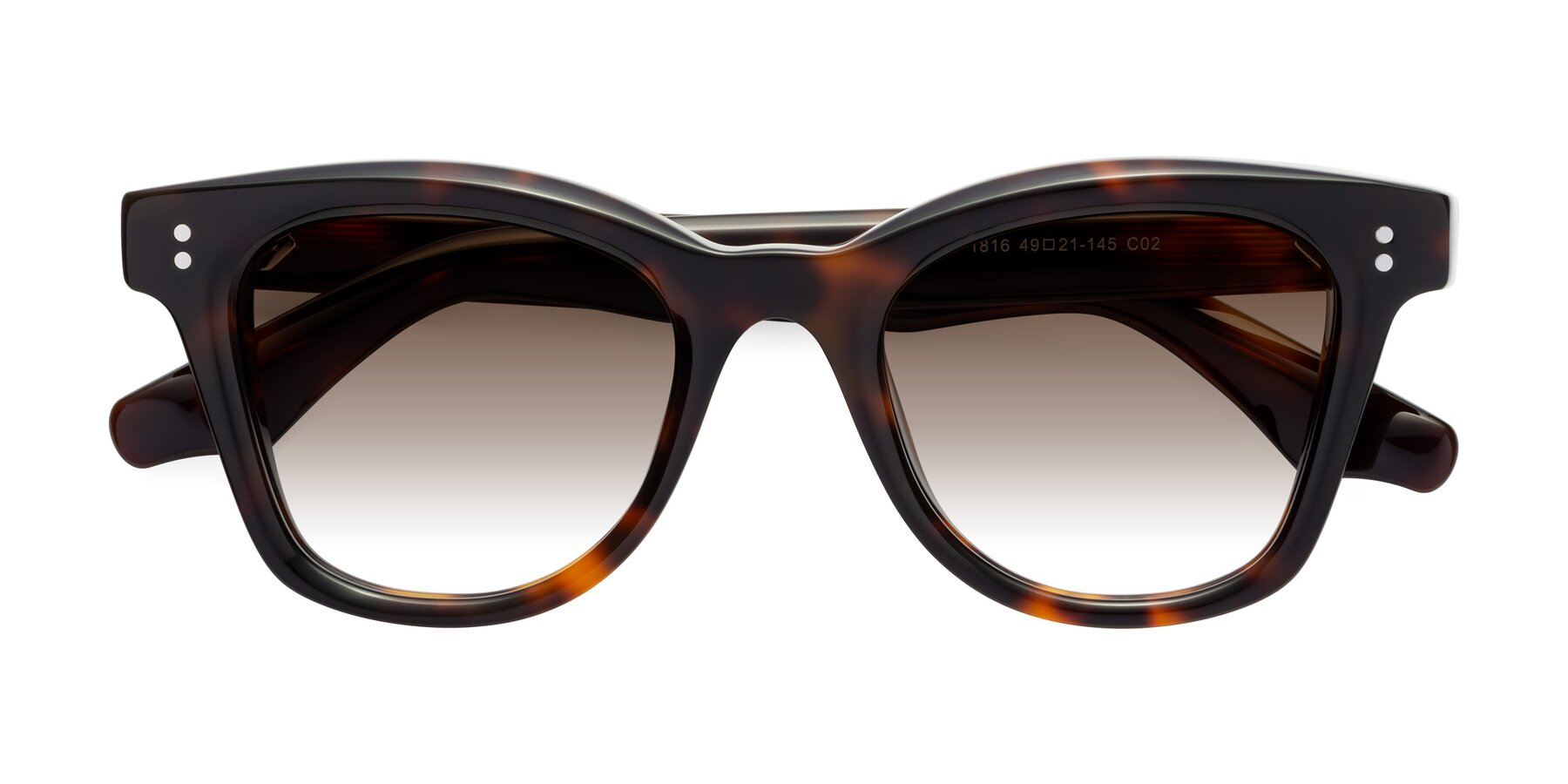 Folded Front of Dragon in Tortoise with Brown Gradient Lenses
