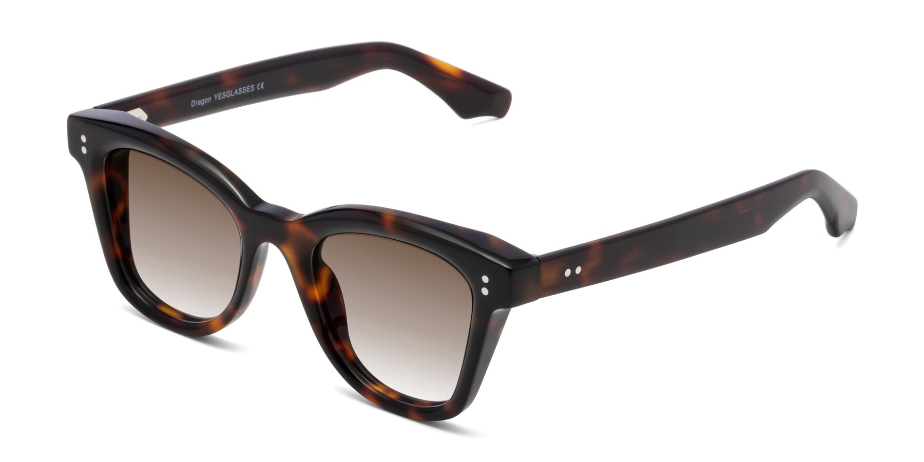 Angle of Dragon in Tortoise with Brown Gradient Lenses
