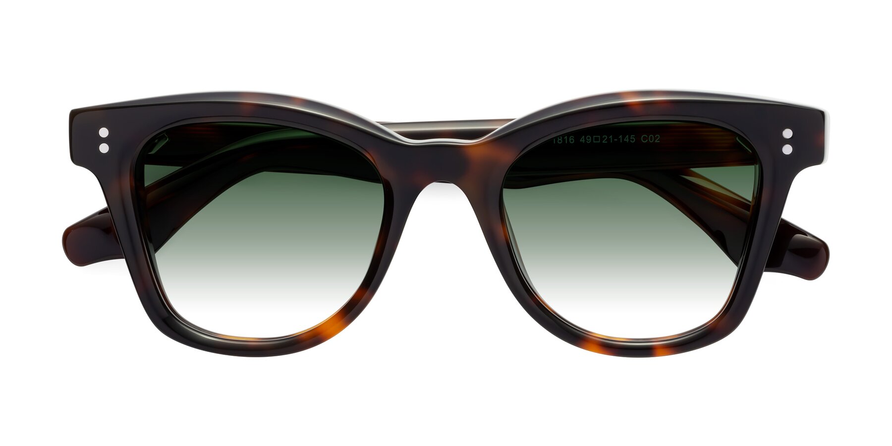 Folded Front of Dragon in Tortoise with Green Gradient Lenses