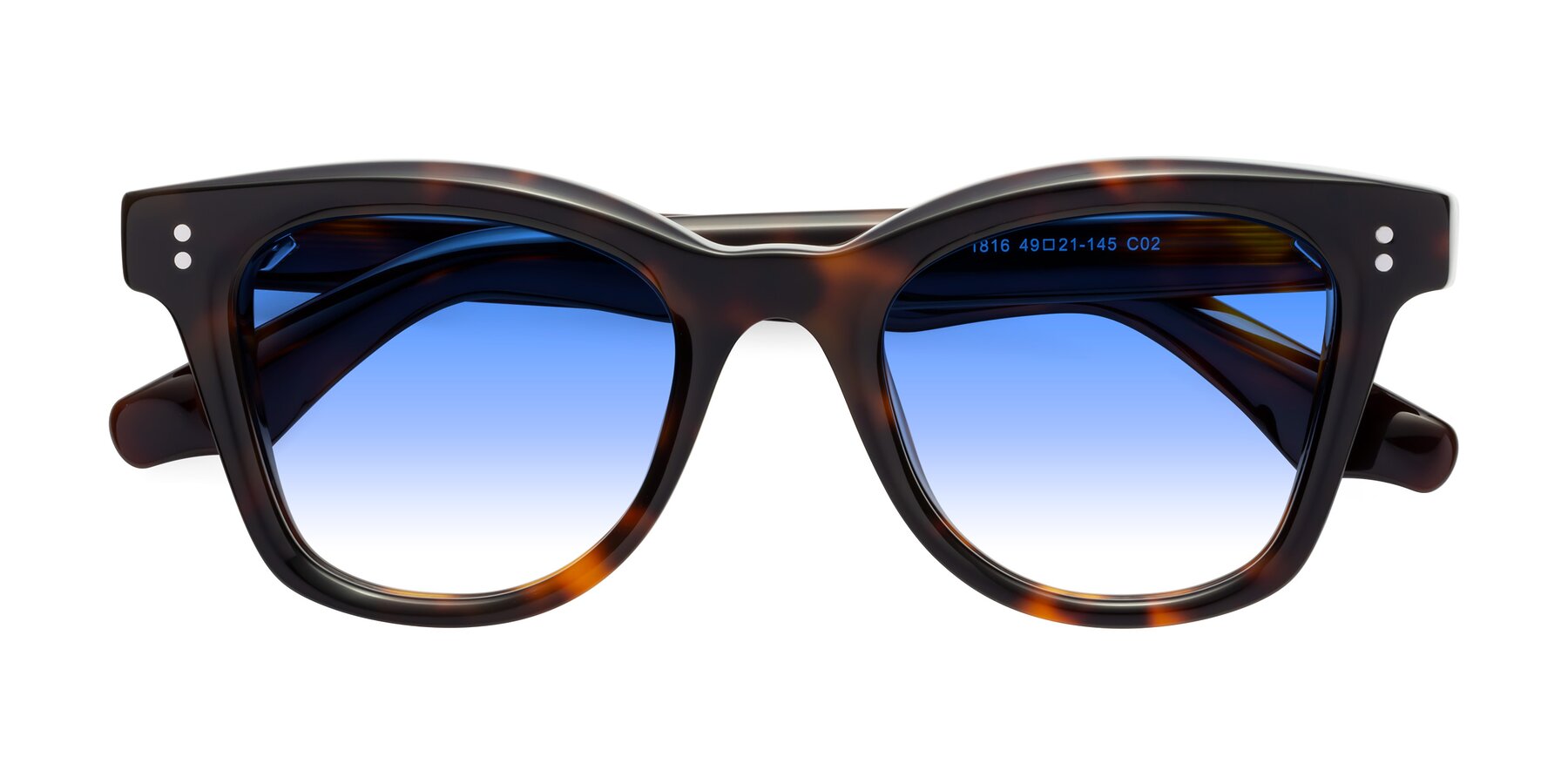 Folded Front of Dragon in Tortoise with Blue Gradient Lenses