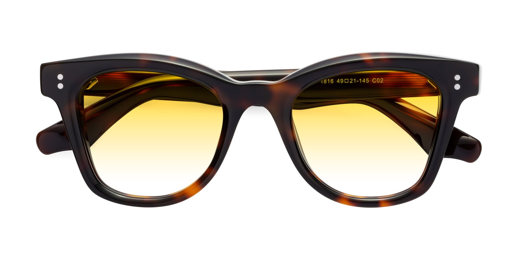 Folded Front of Dragon in Tortoise with Yellow Gradient Lenses