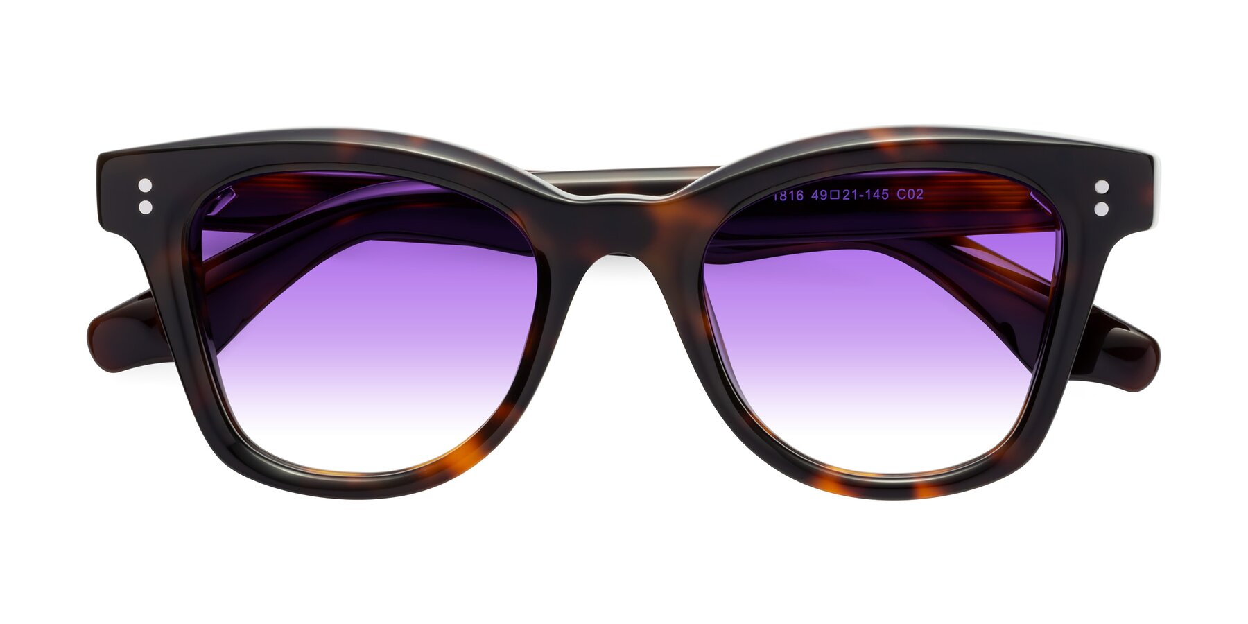Folded Front of Dragon in Tortoise with Purple Gradient Lenses