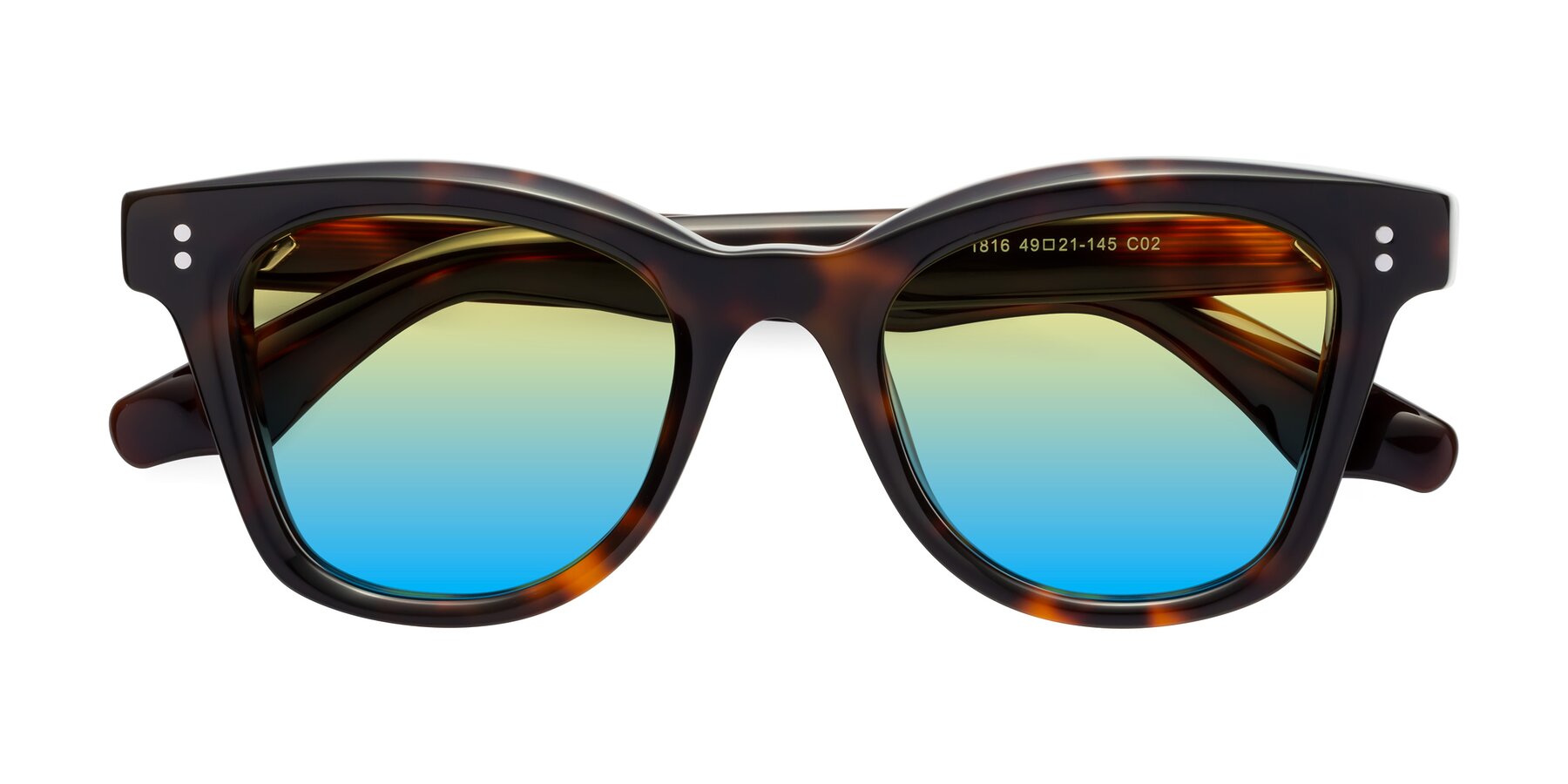 Folded Front of Dragon in Tortoise with Yellow / Blue Gradient Lenses