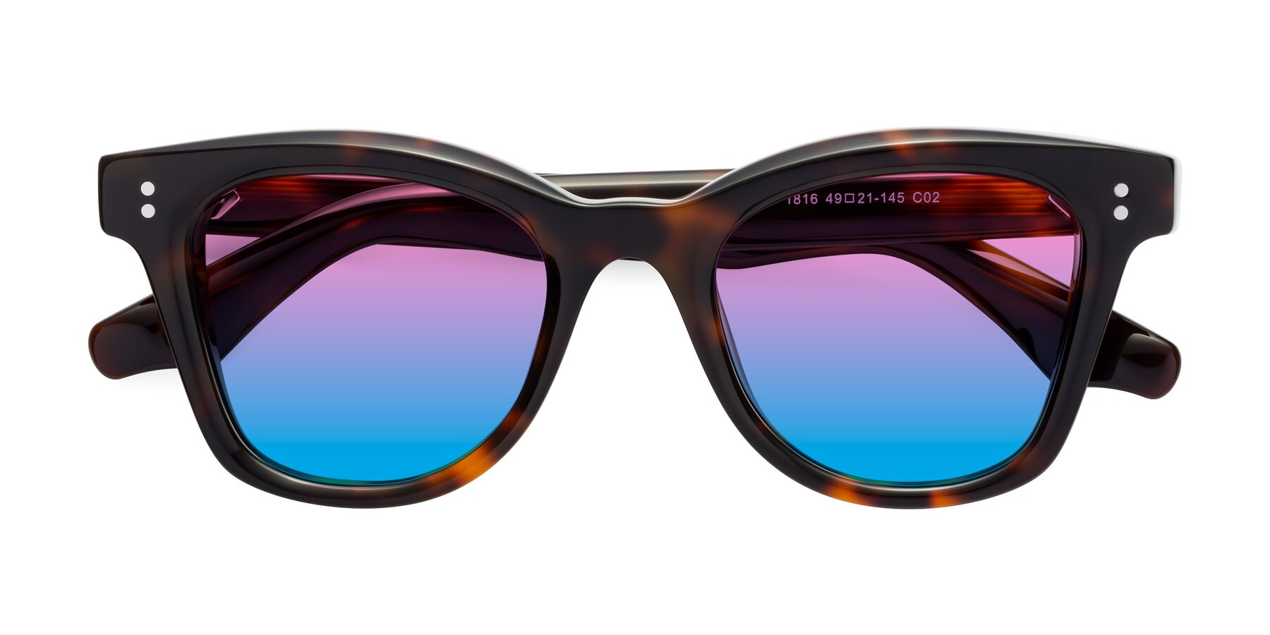 Folded Front of Dragon in Tortoise with Pink / Blue Gradient Lenses