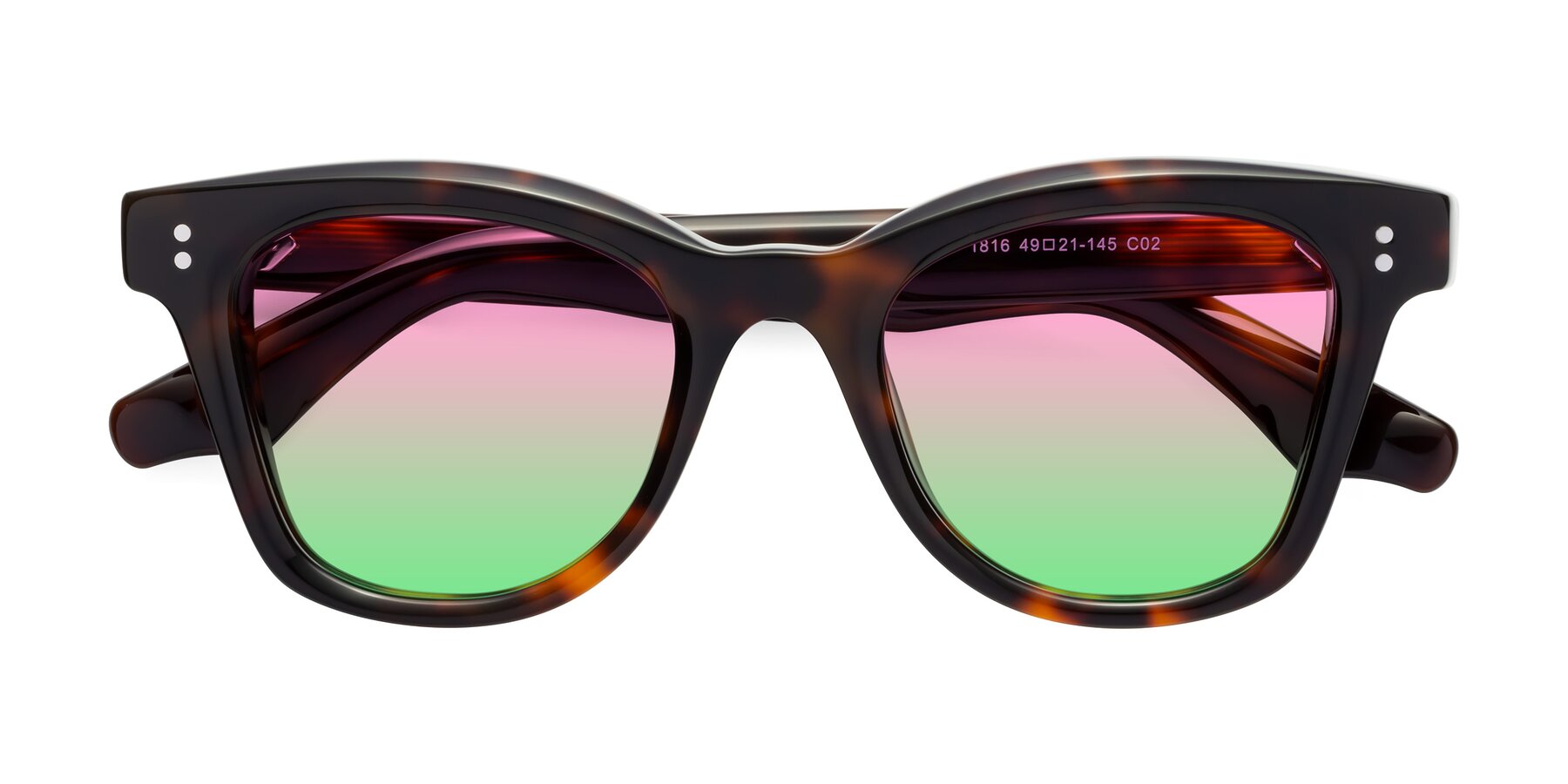 Folded Front of Dragon in Tortoise with Pink / Green Gradient Lenses