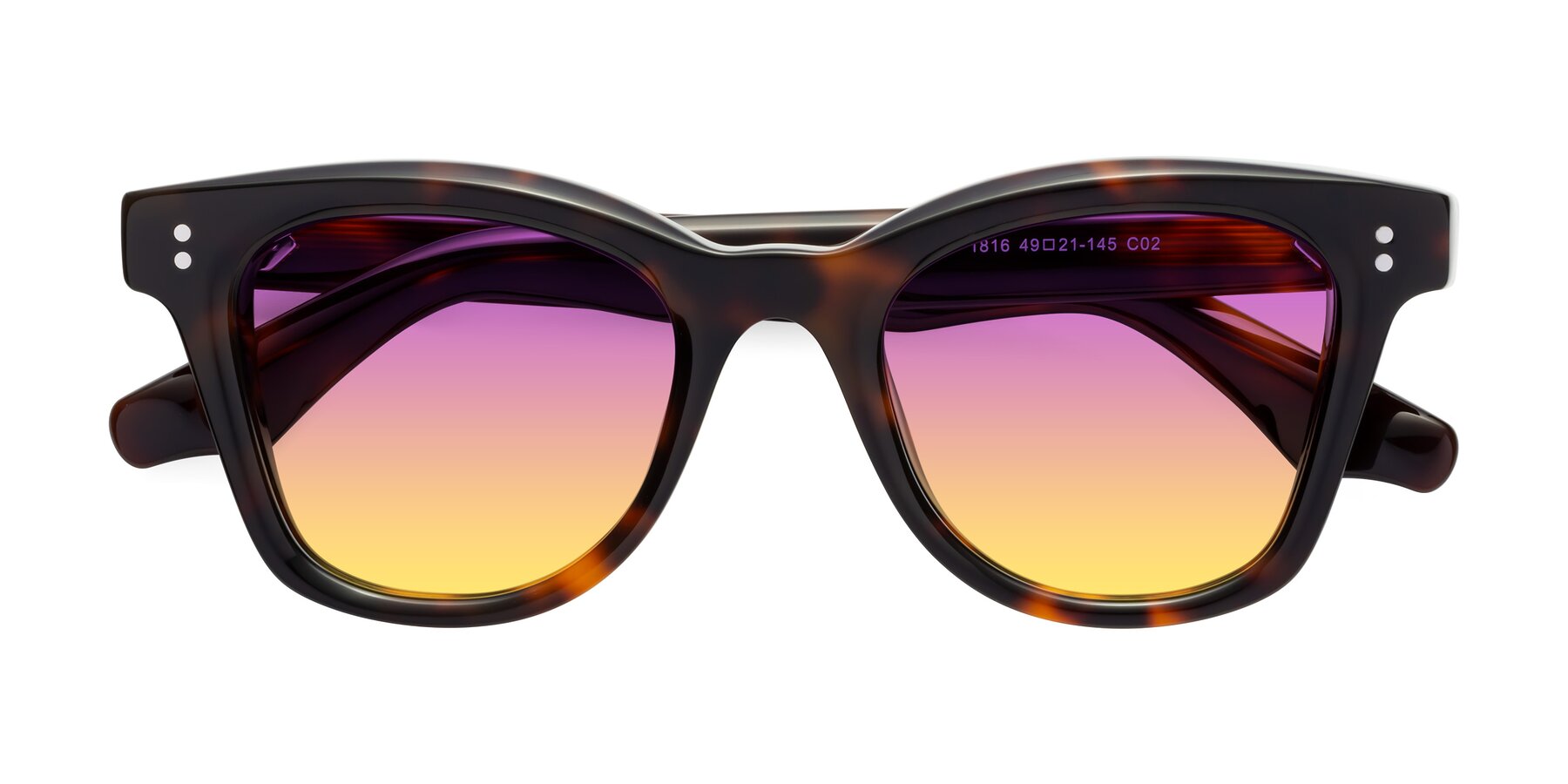 Folded Front of Dragon in Tortoise with Purple / Yellow Gradient Lenses