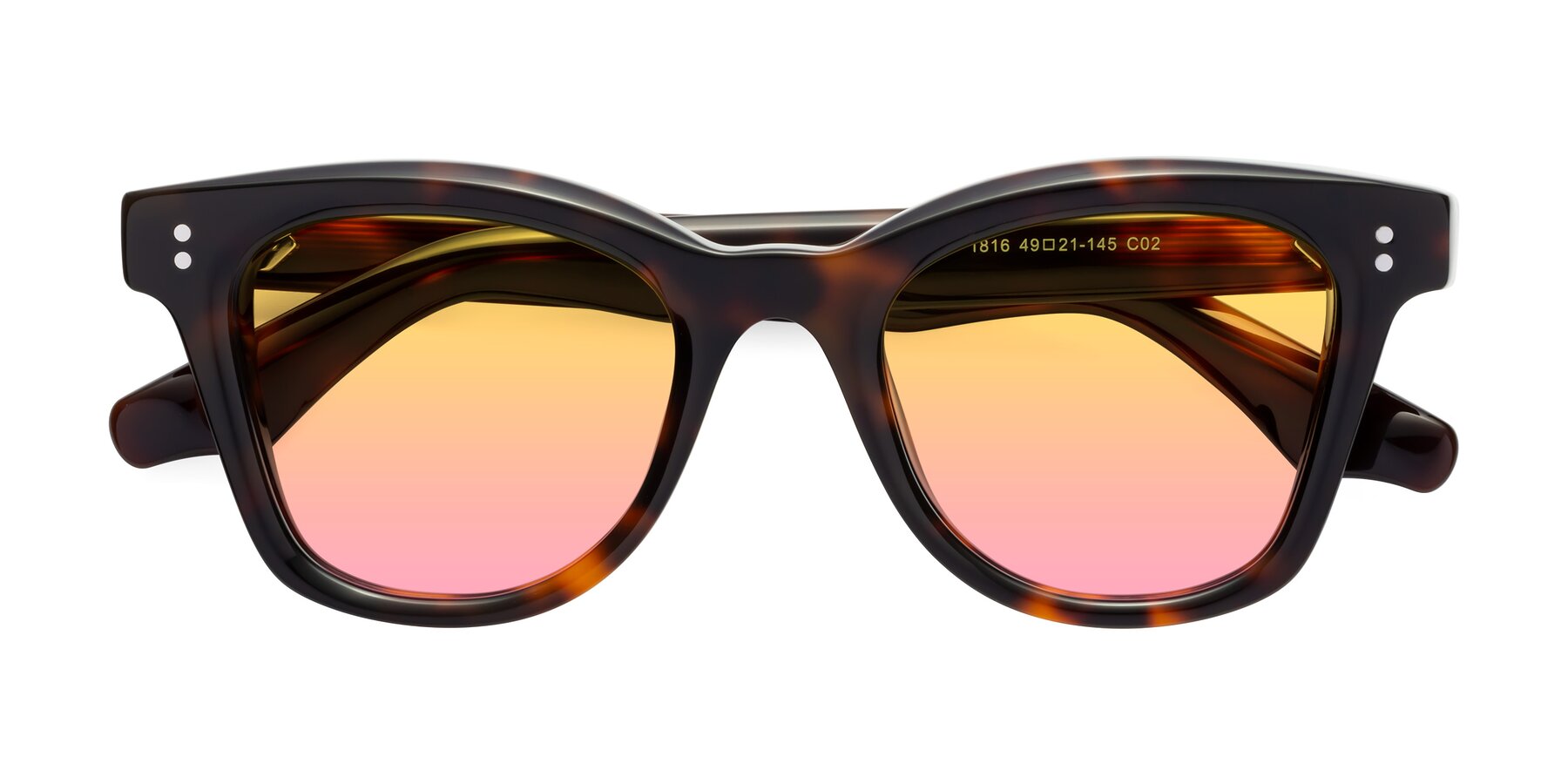 Folded Front of Dragon in Tortoise with Yellow / Pink Gradient Lenses