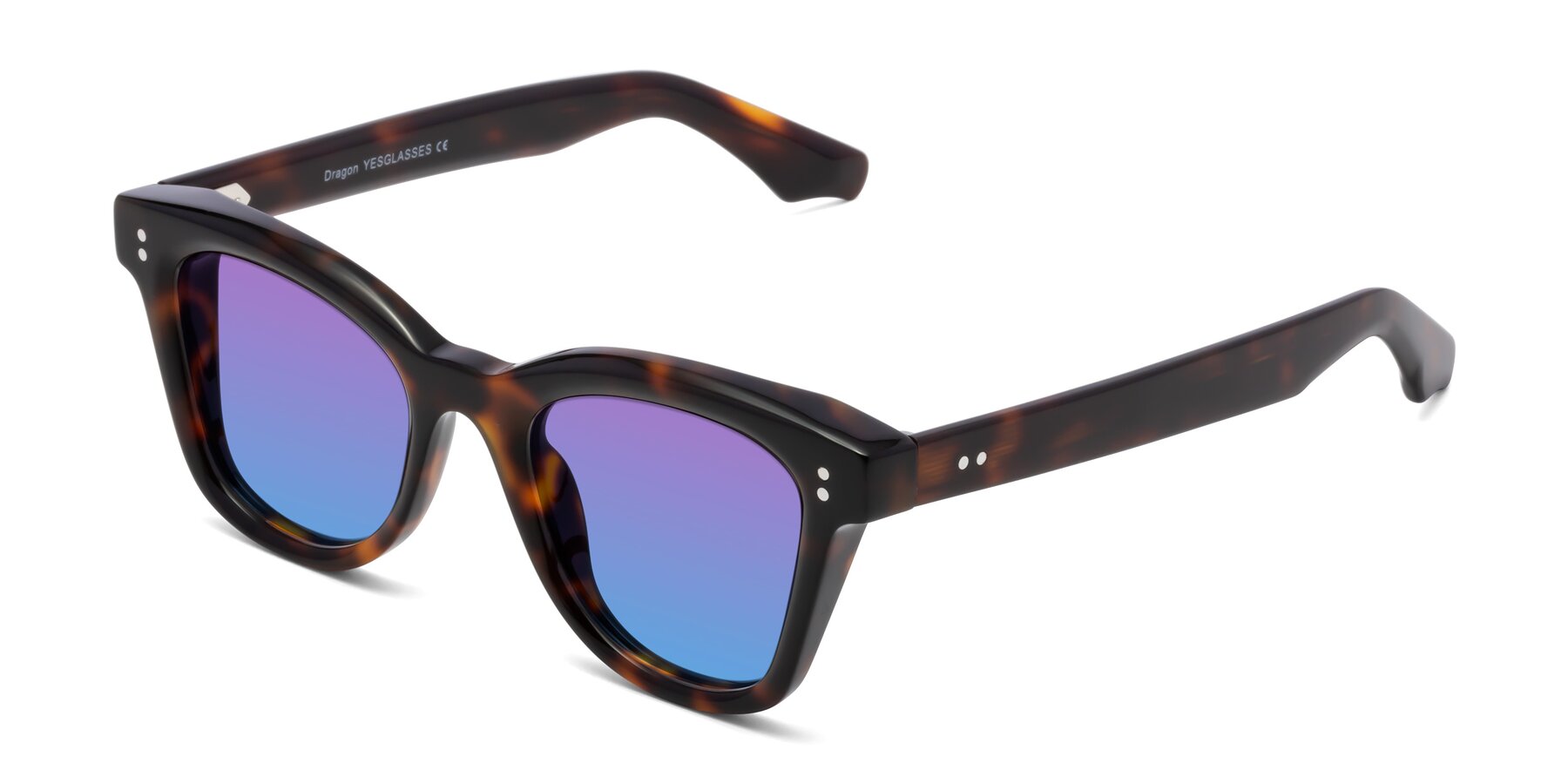 Angle of Dragon in Tortoise with Purple / Blue Gradient Lenses